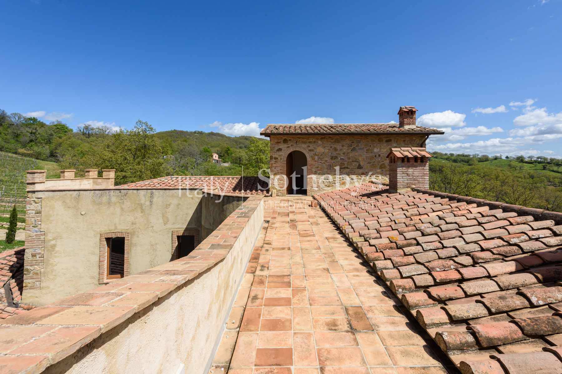  Fascinating property with vineyards and olive groves - 物件實景