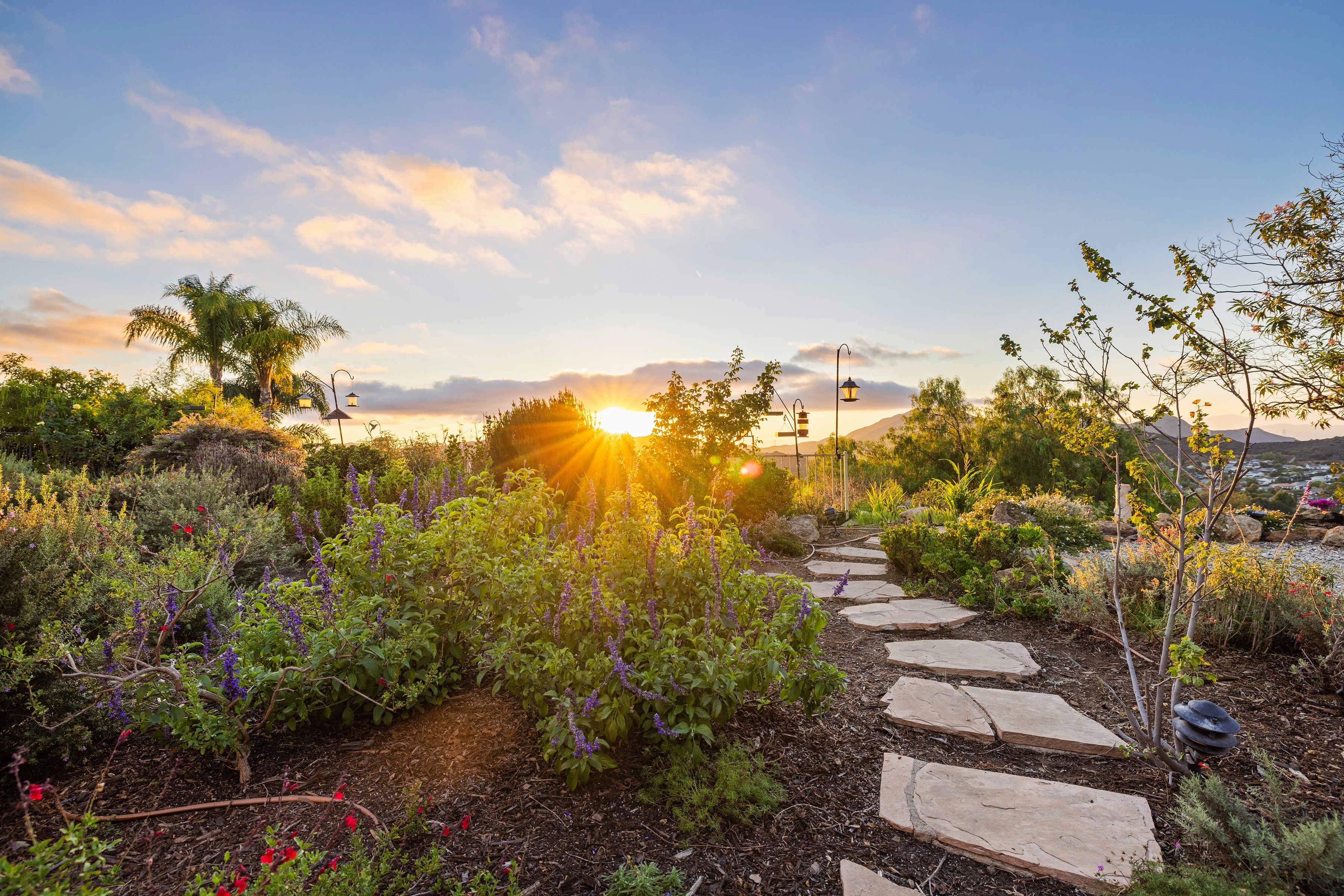  1098 Antelope Place, Newbury Park - 物件實景