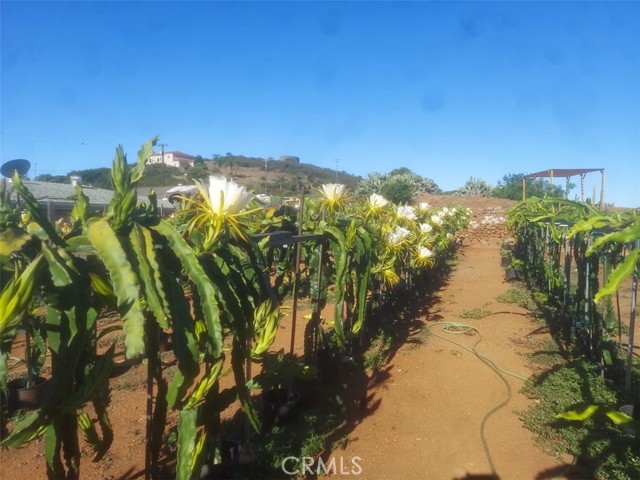 Fallbrook, California, 92028, United States, 2 Bedrooms Bedrooms, ,3 BathroomsBathrooms,Residential,For Sale,1979251