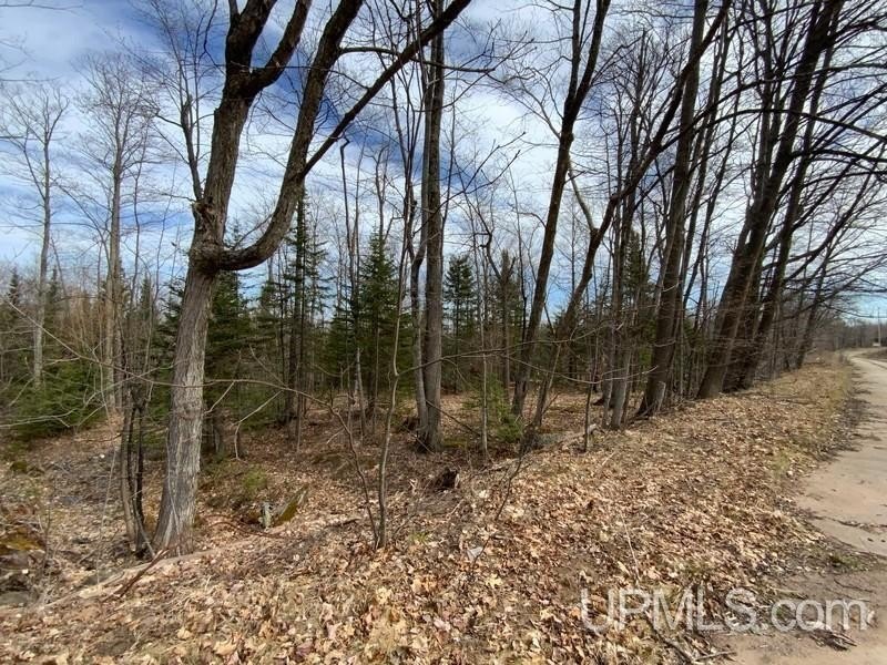 TBD W US 41, Marquette, Michigan, 49855, United States, ,Residential,For Sale,TBD W US 41,1601608