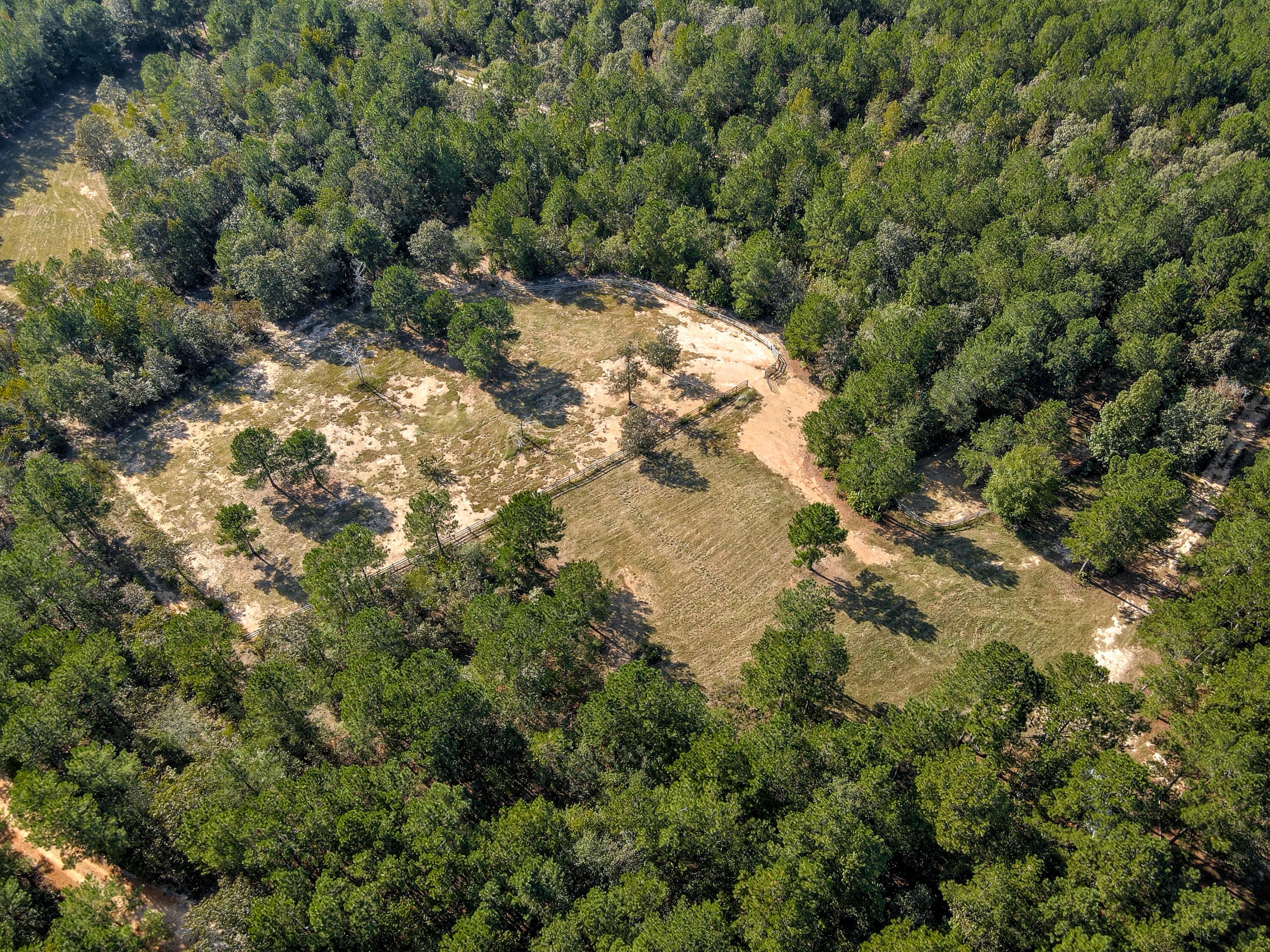 Wagener, South Carolina, 29164, United States, ,Land,For Sale,1969040