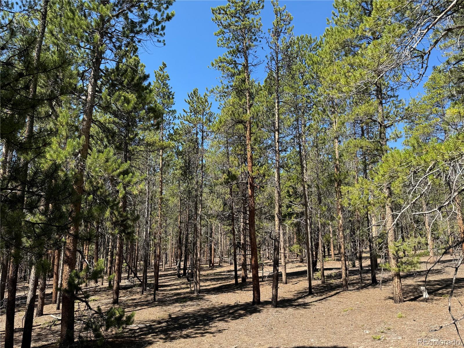 Leadville, Colorado, 80461, United States, ,Land,For Sale,1978663