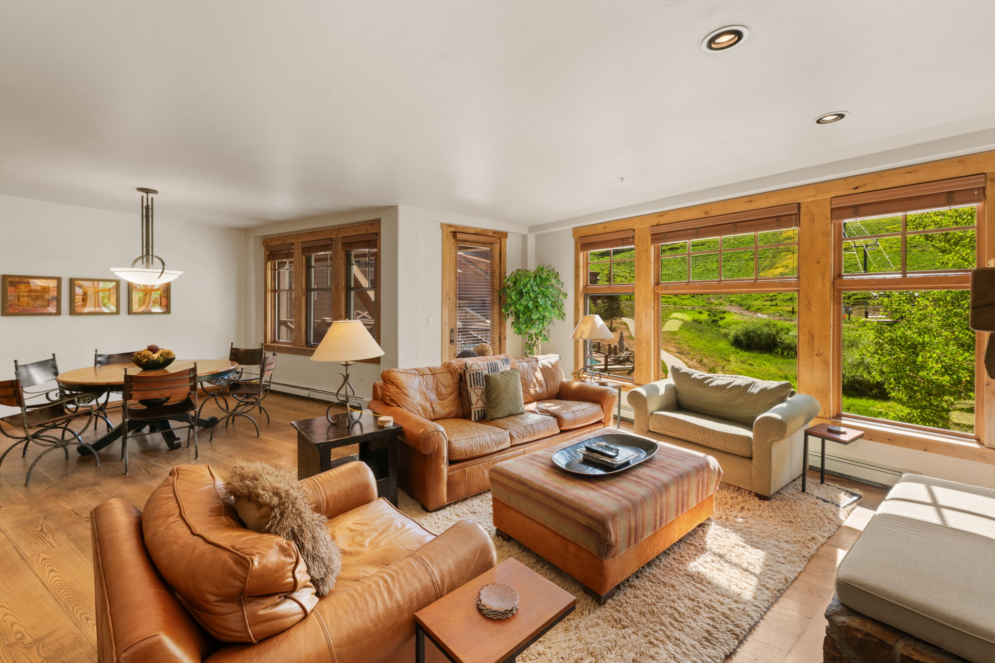  Slopeside Living at the Base of Crested Butte Mountain - 物件實景