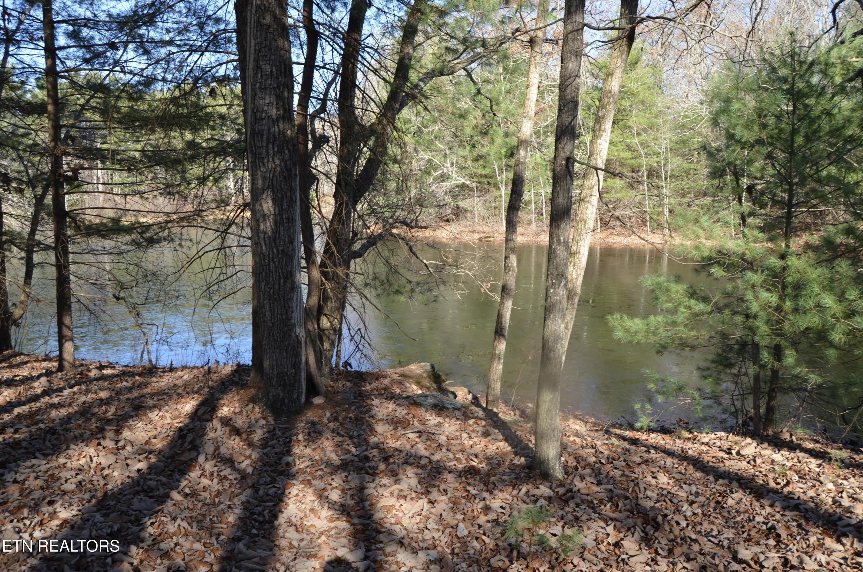 Crossville, Tennessee, 38555, United States, ,Land,For Sale,1983294