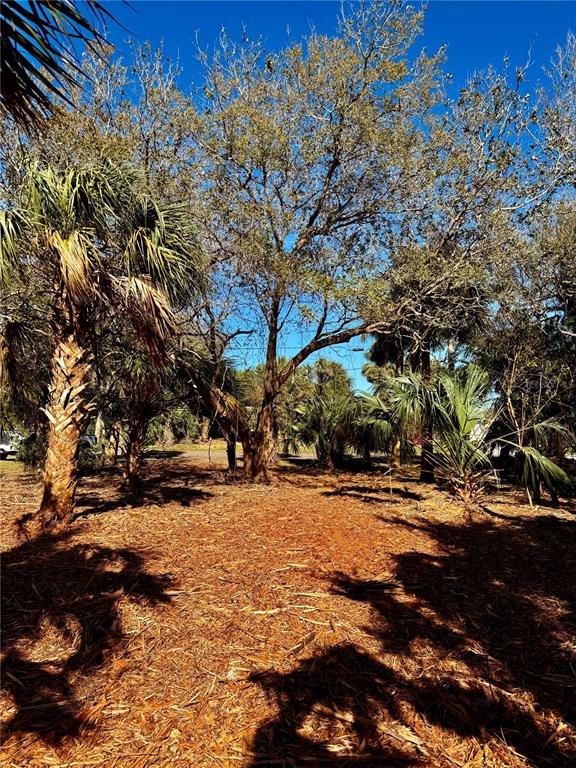 Ormond Beach, Florida, 32176, United States, ,Land,For Sale,1743794