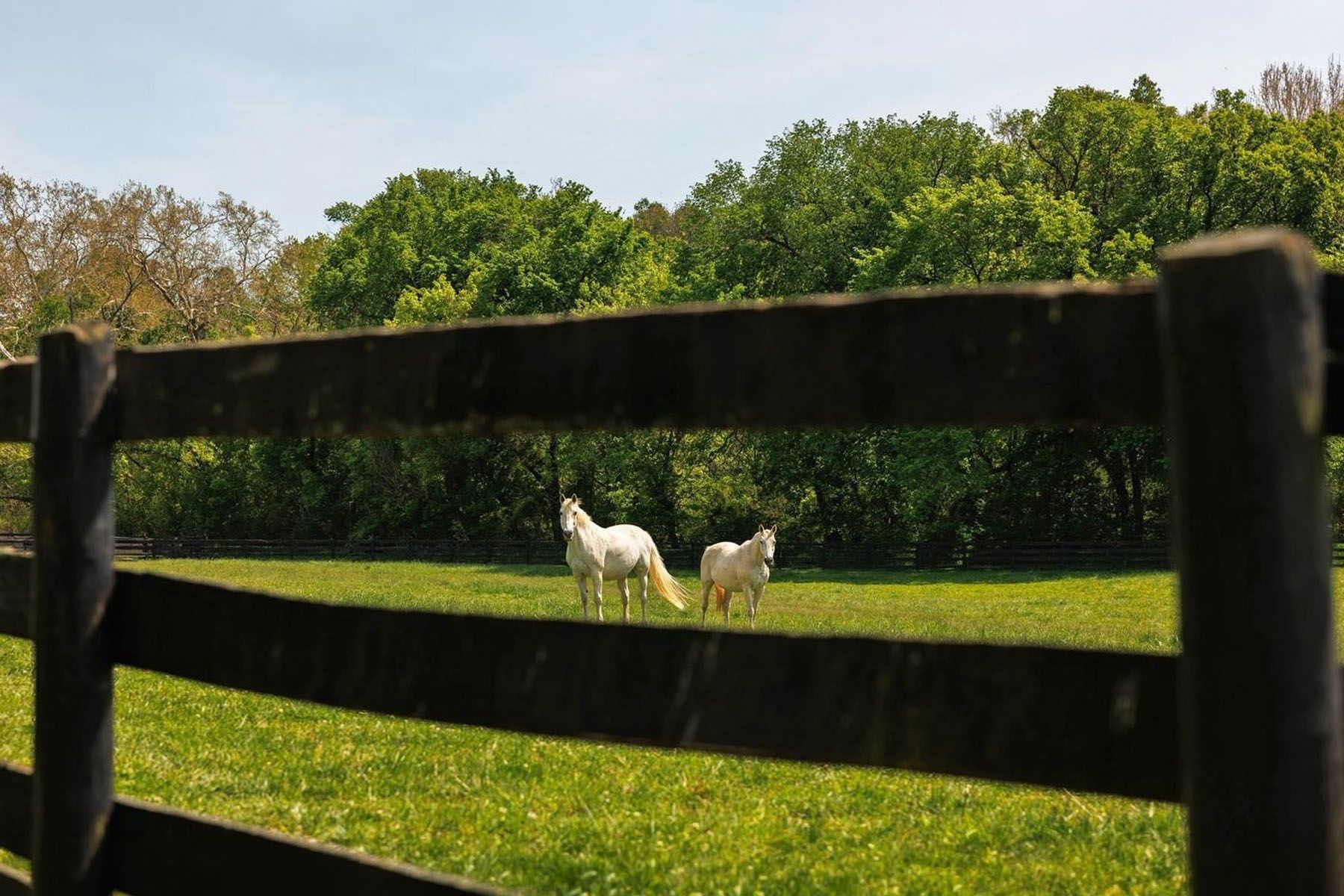  15520 James Monroe Highway, Leesburg, VA, 20176 - 物件實景