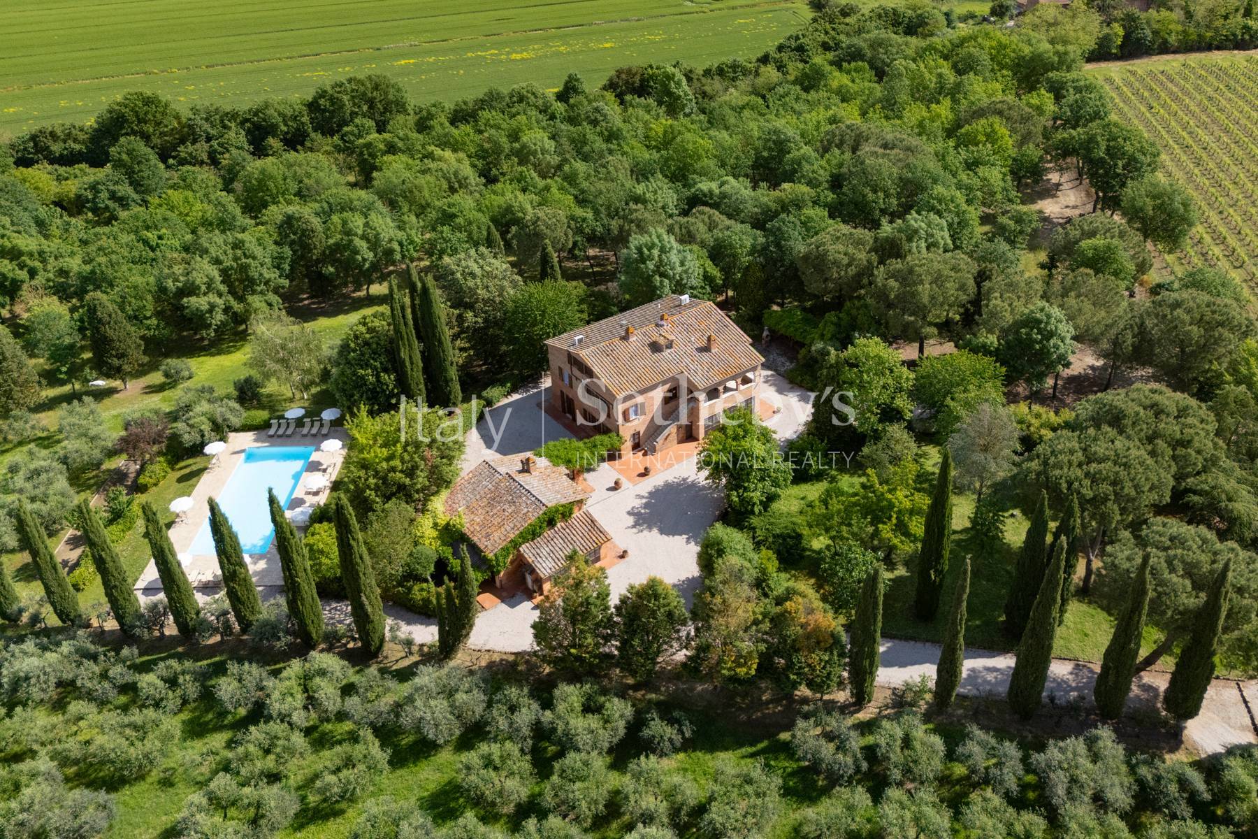  Refined wine estate with agritourism - 物件實景
