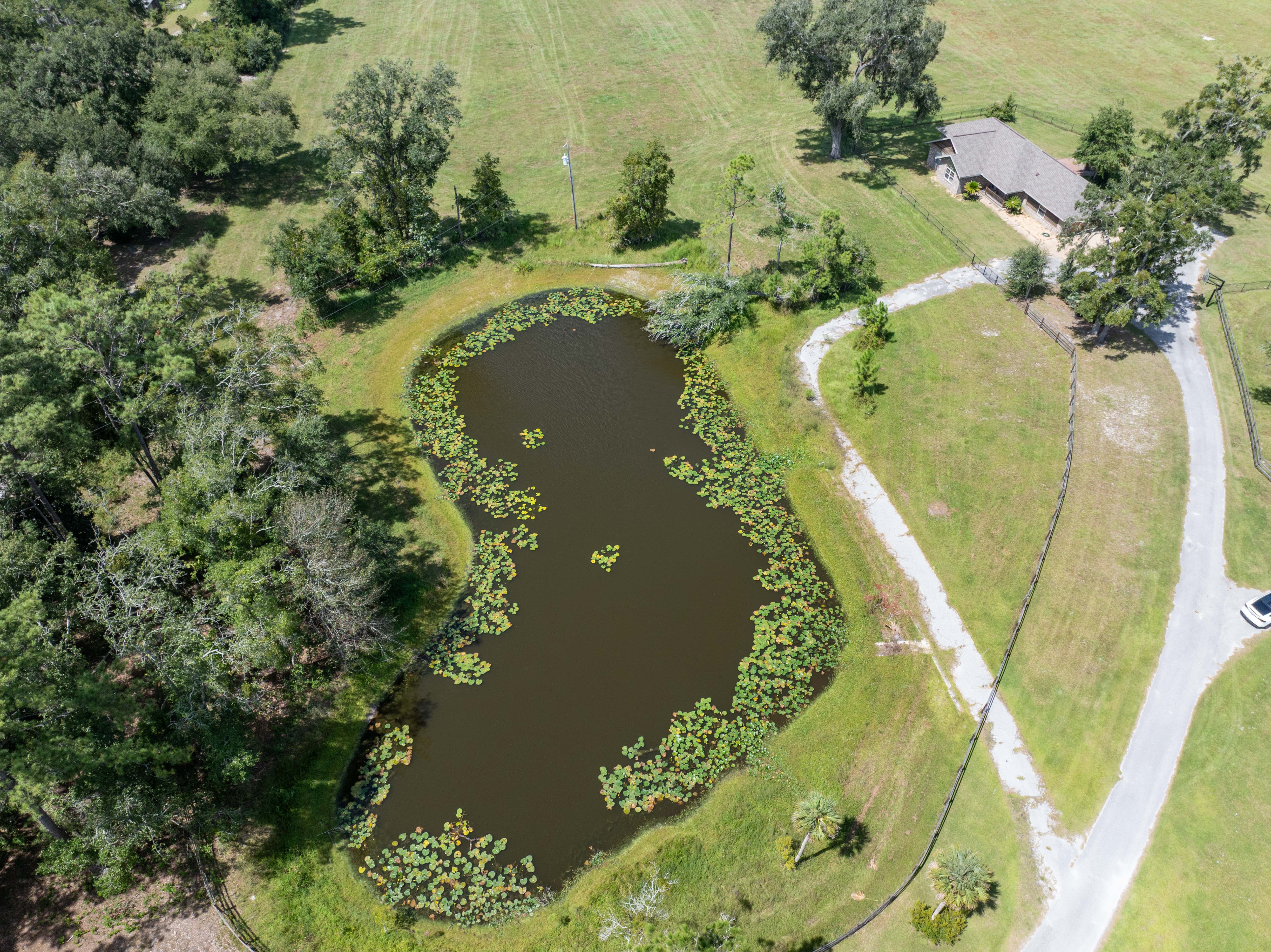 LAKE CITY, Florida, 32024, United States, 3 Bedrooms Bedrooms, ,2 BathroomsBathrooms,Residential,For Sale,1948883