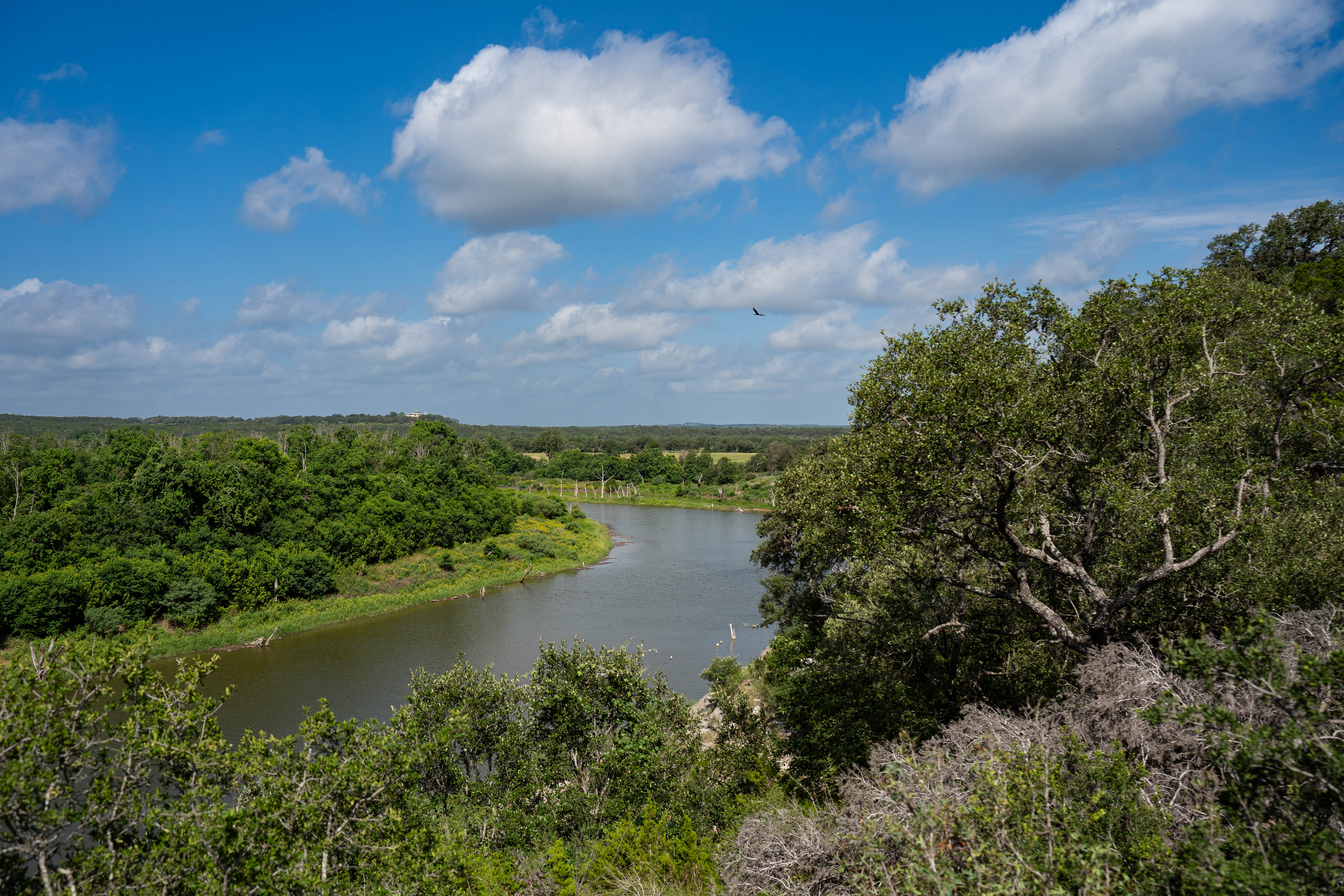  Refined Hill Country Living on the Guadalupe - 物件實景