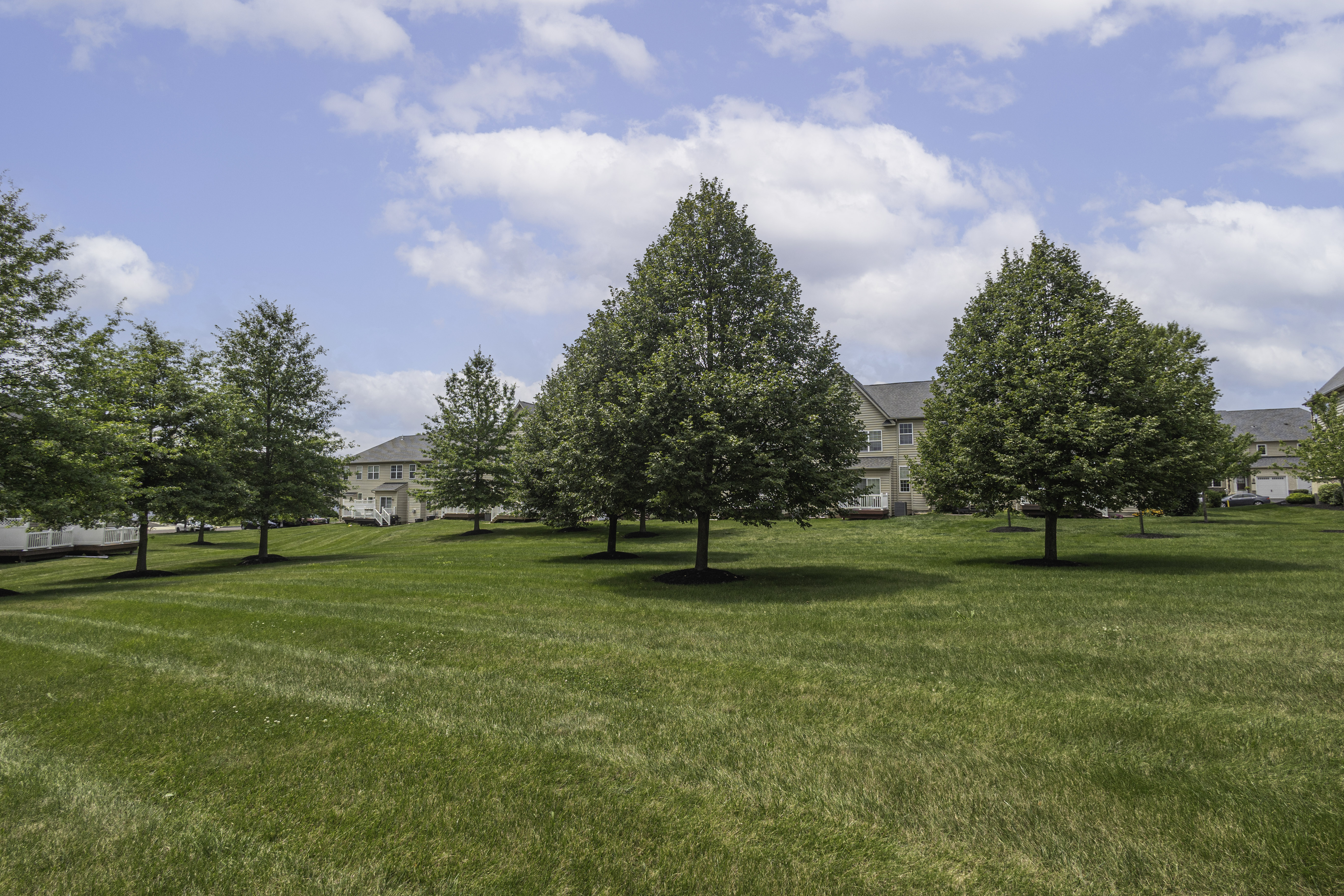  2394 Rosemont Terrace, Furlong, PA 18925 - 物件實景