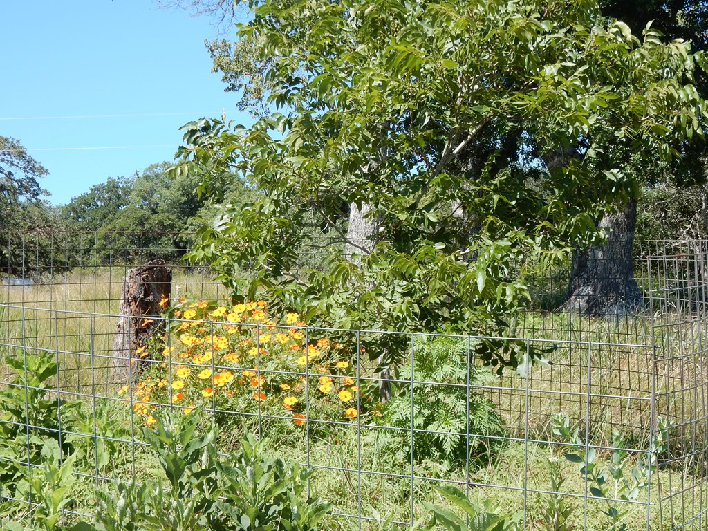 Fredericksburg, Texas, 78624, United States, ,Residential,For Sale,1921119