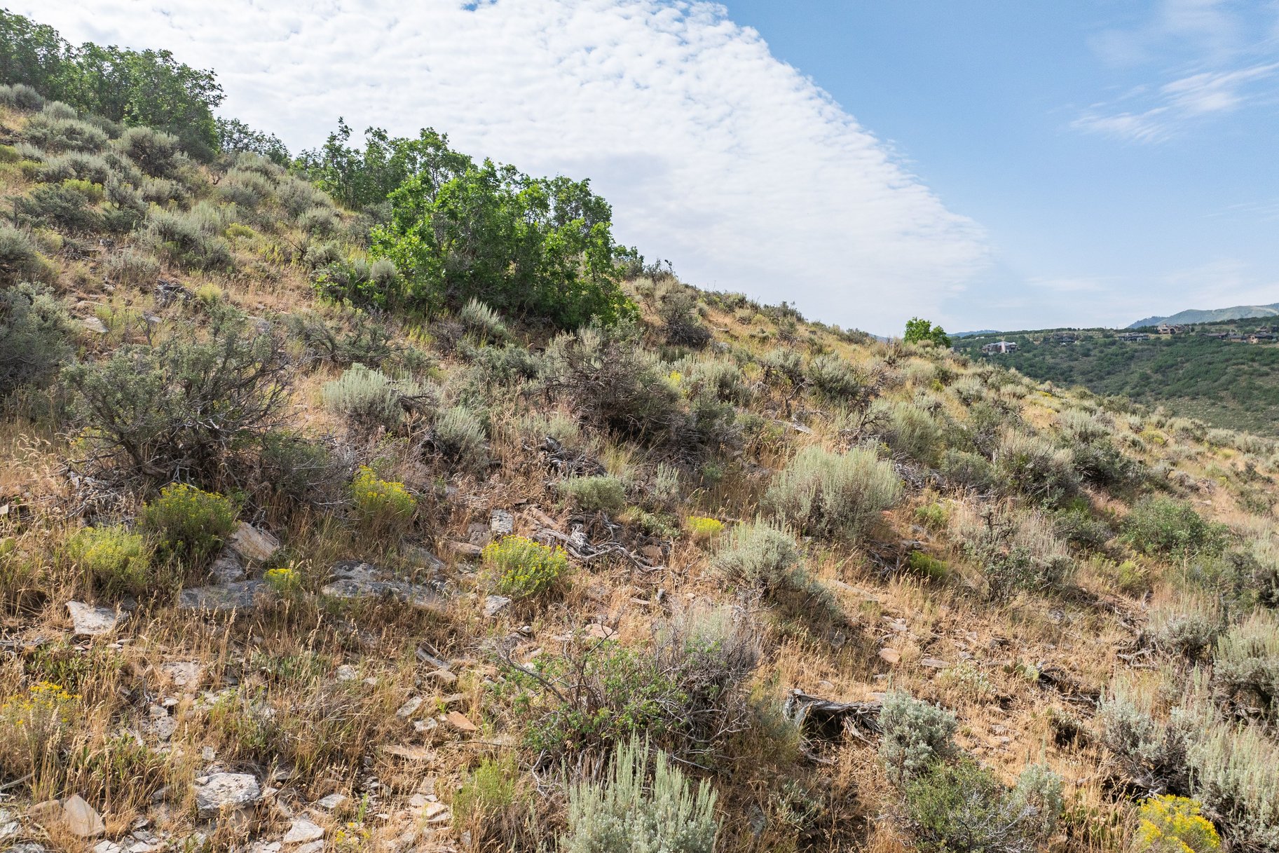  A Rare Old Ranch Road Homesite with Panoramic Ski Mountain Views - 物件實景