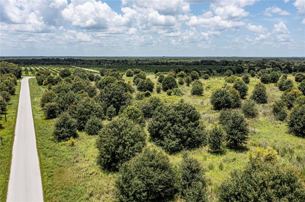 Arcadia, Florida, 34269, United States, ,Land,For Sale,1997252