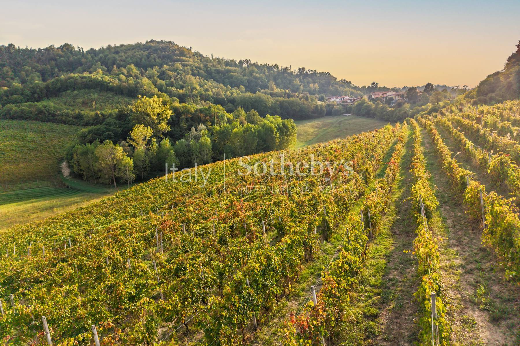  Historic Residence and Organic Winery in Monferrato - 物件實景