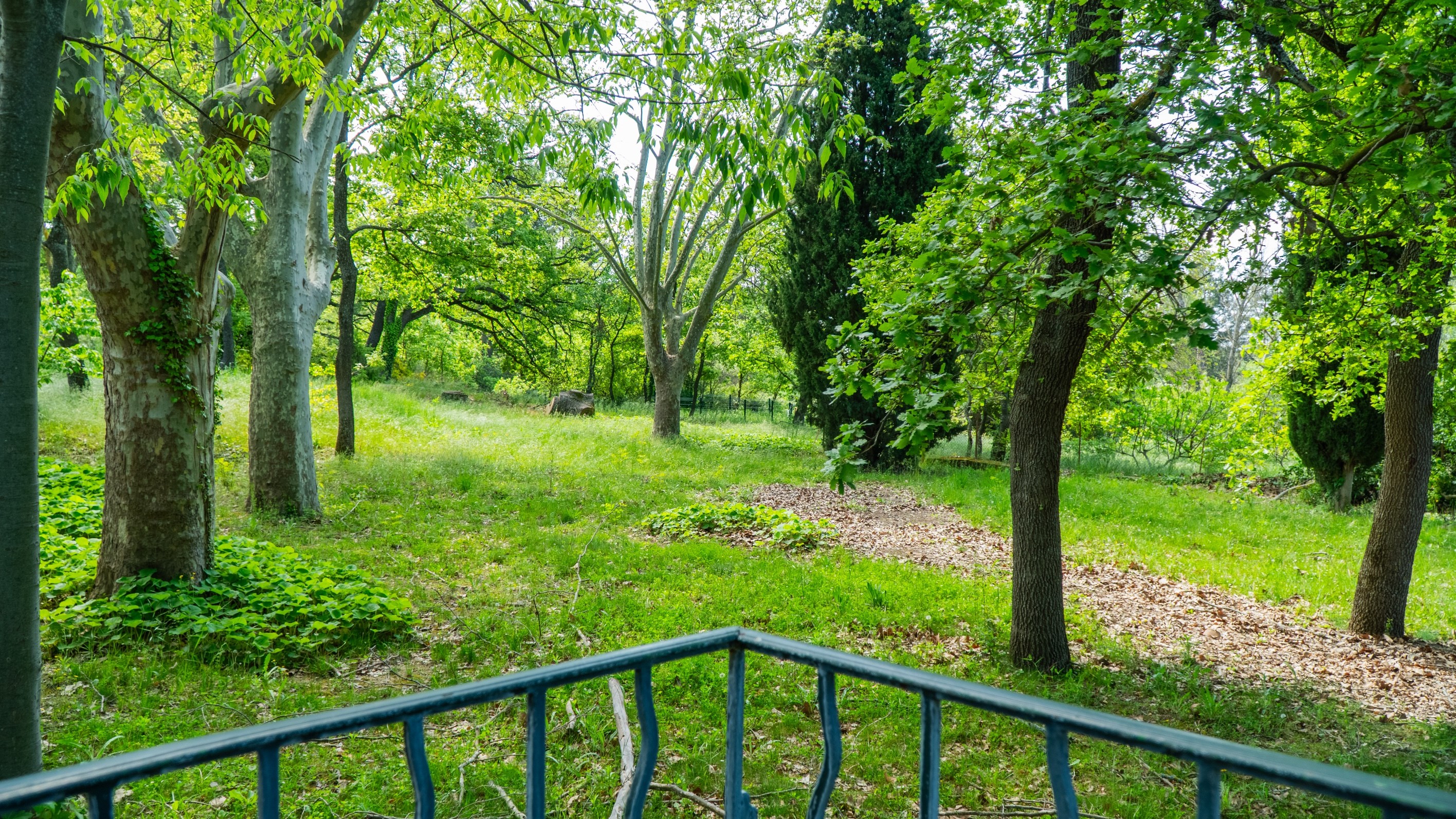  Multifunctional Property in the Heart of the Aix Countryside – Puyricard Area J… - 物件實景