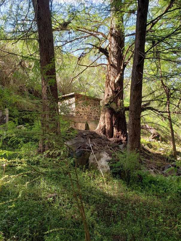 CONOCIDO NOMBRE DE DIOS DURANGO, Nombre de Dios, Durango, 34840, Mexico, 1 Bedroom Bedrooms, ,Residential,For Sale,CONOCIDO NOMBRE DE DIOS DURANGO,1627562