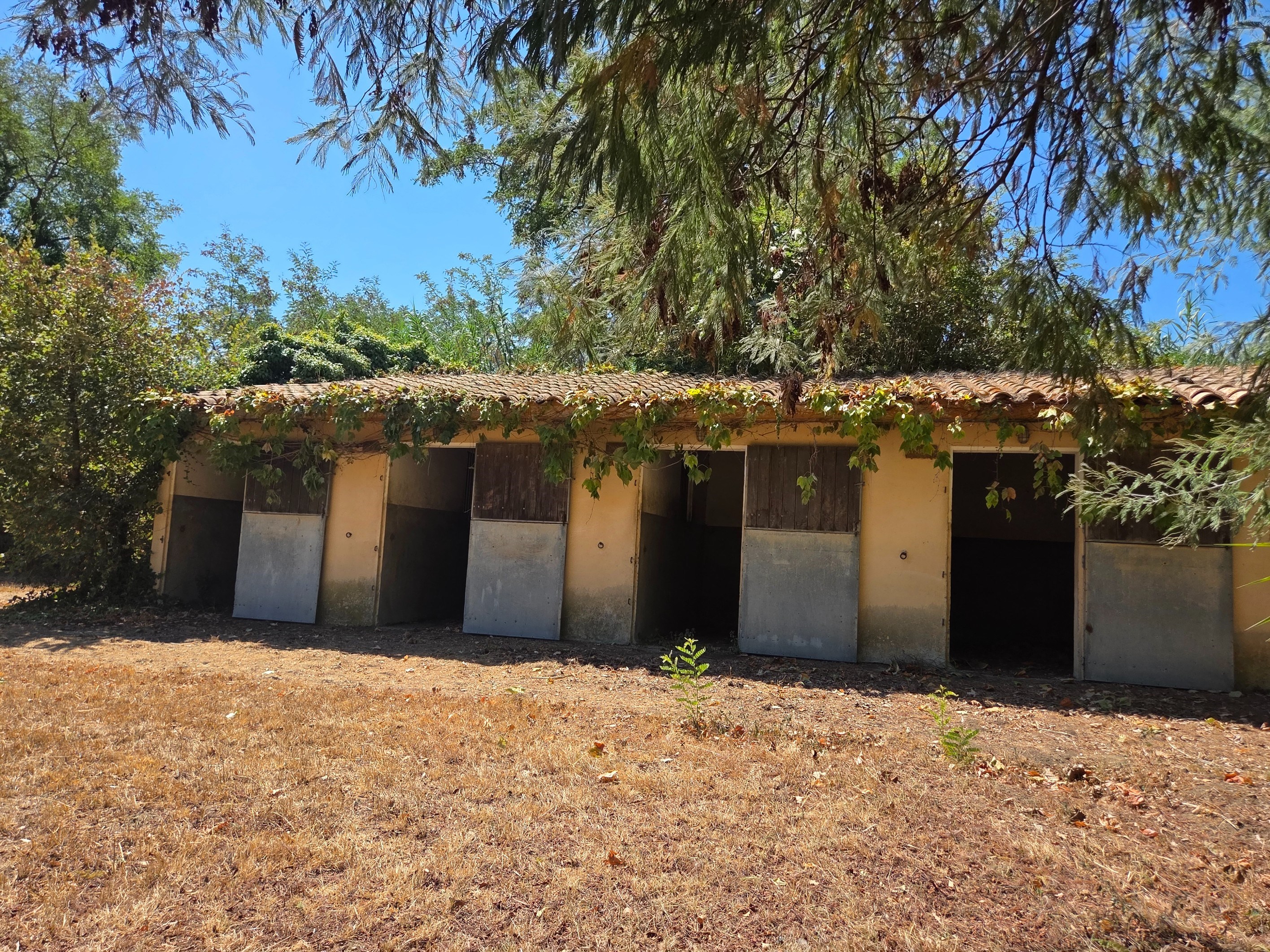  LA BELLE ENDORMIE – ON THE DOORSTEP OF PERPIGNAN - 物件實景