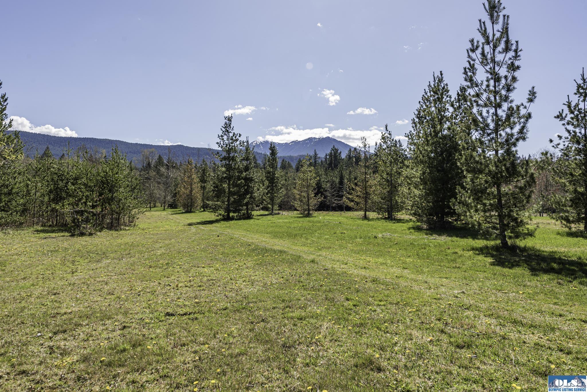 Sequim, Washington, 98382, United States, ,Land,For Sale,1787569