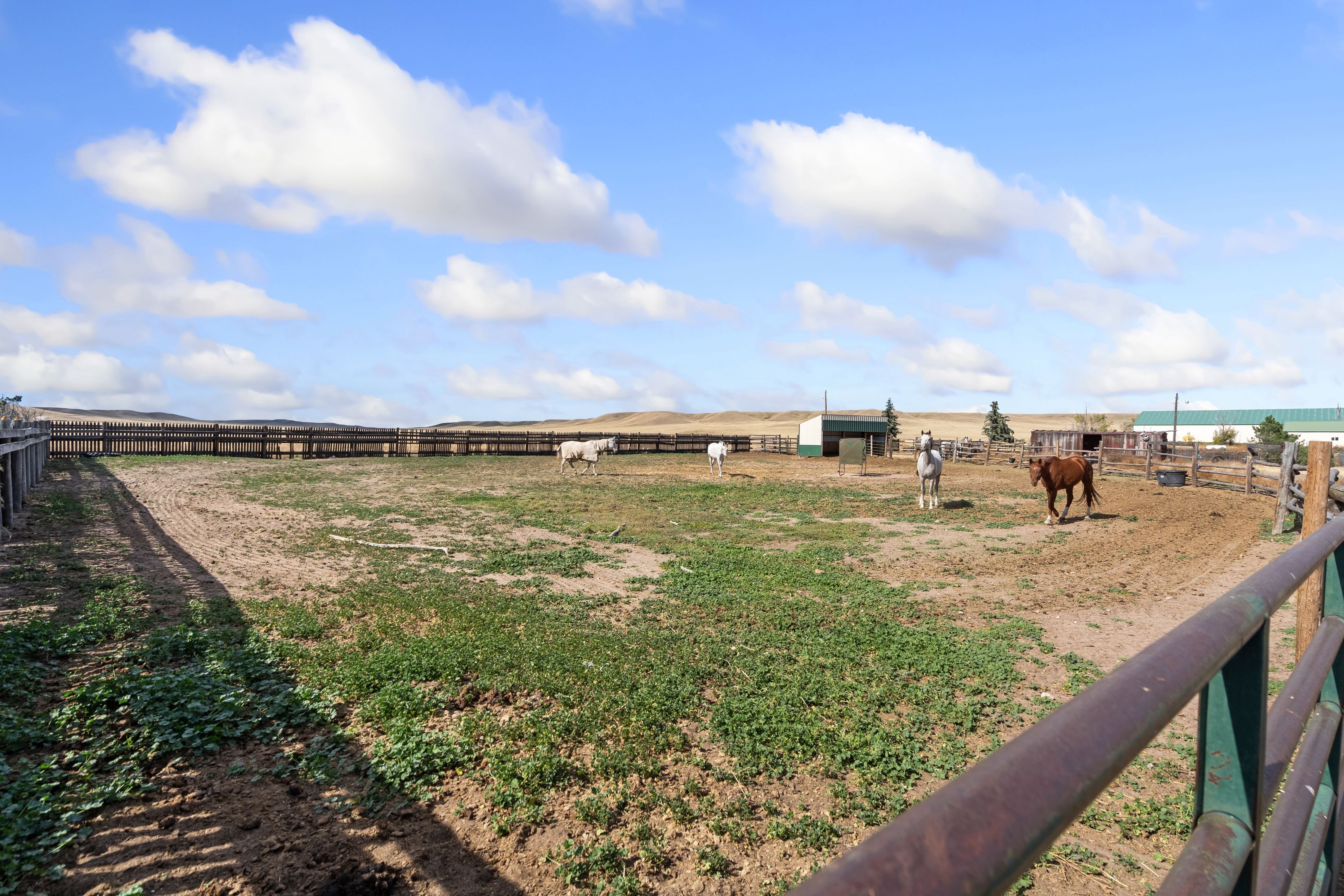  Exceptional Equestrian Property on 20 Acres - 物件實景