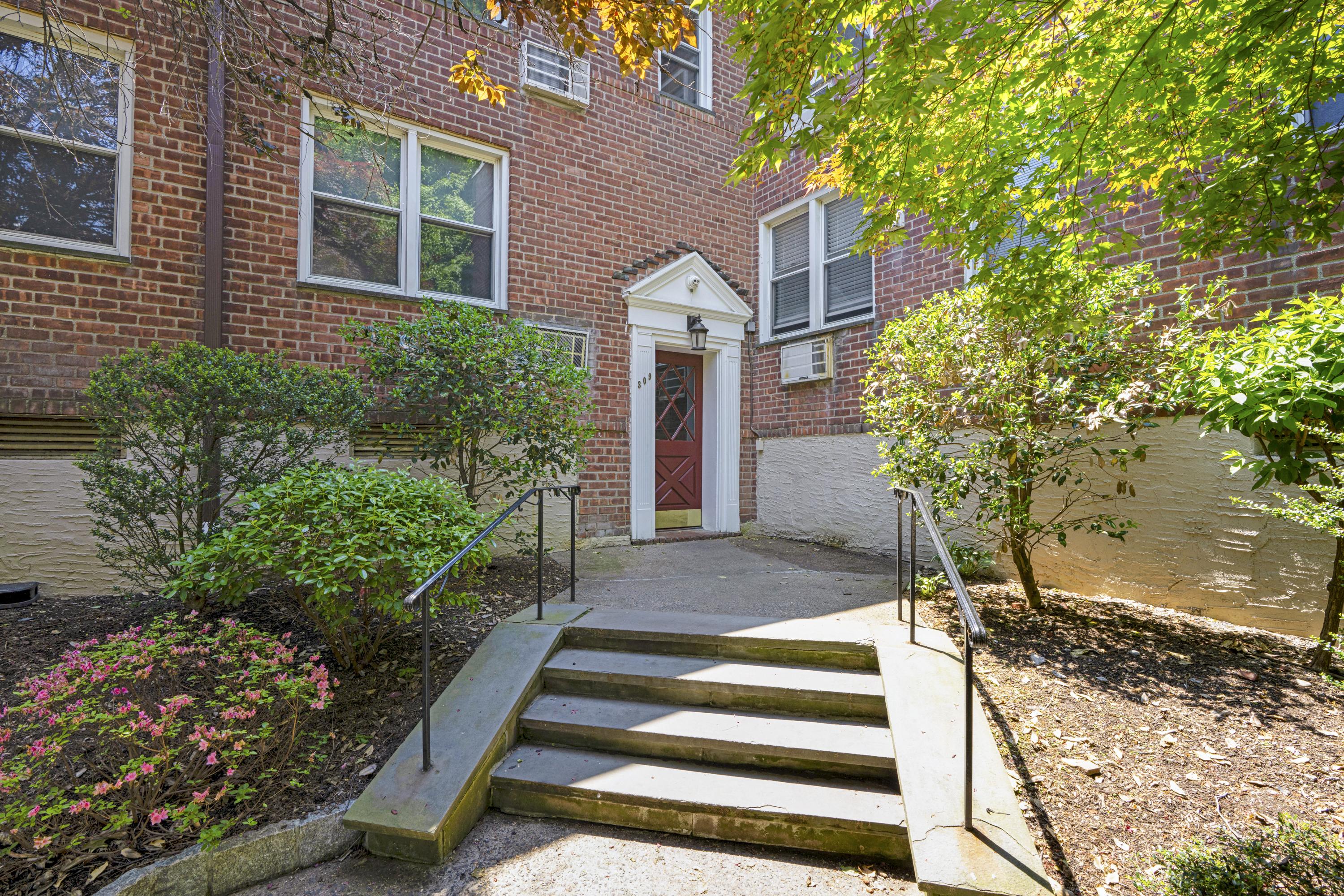  Beautiful Palmer Terrace Co-op - 物件實景