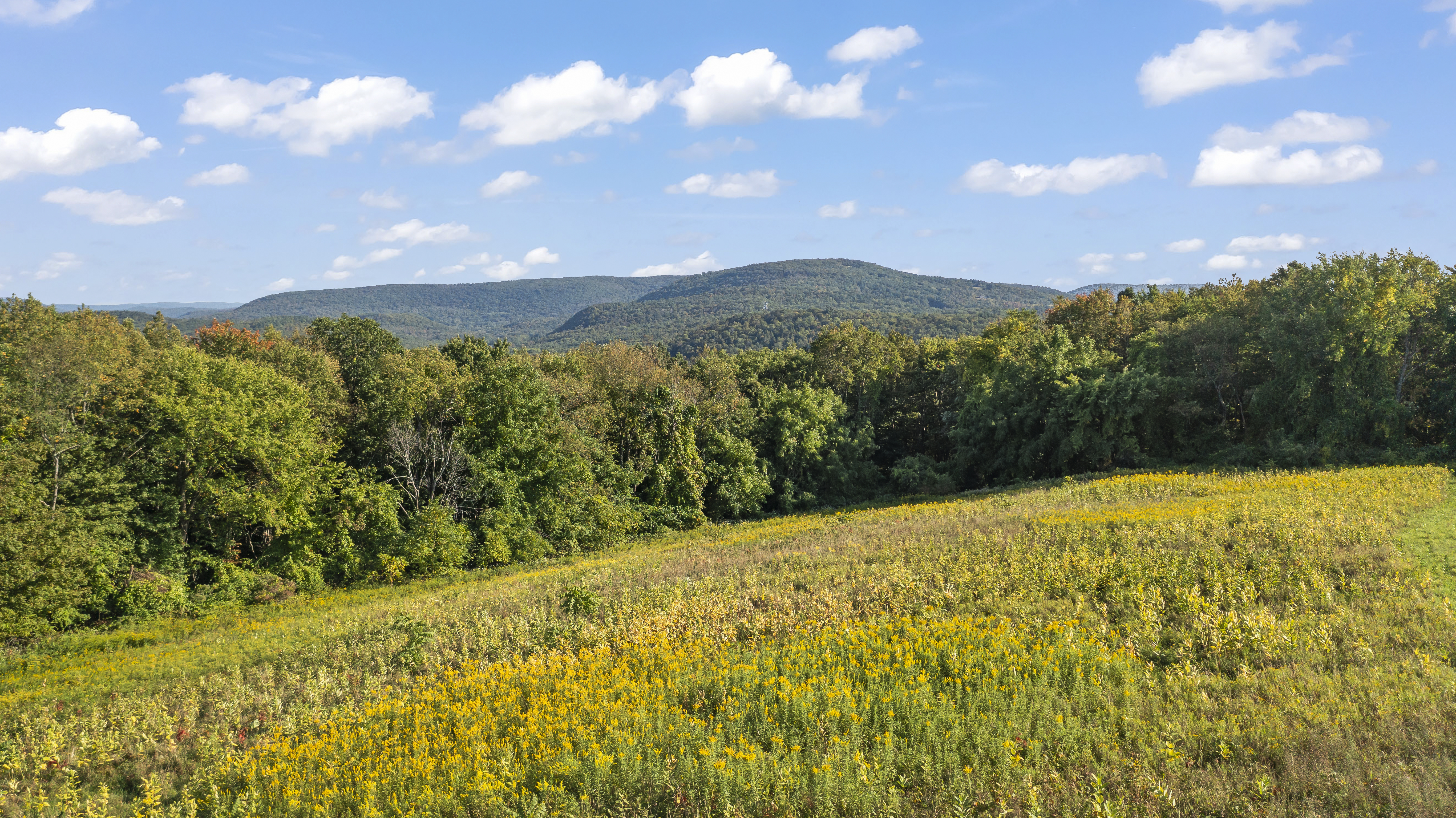  388 Maple Drive, East Chatham, NY 12060 - 物件實景
