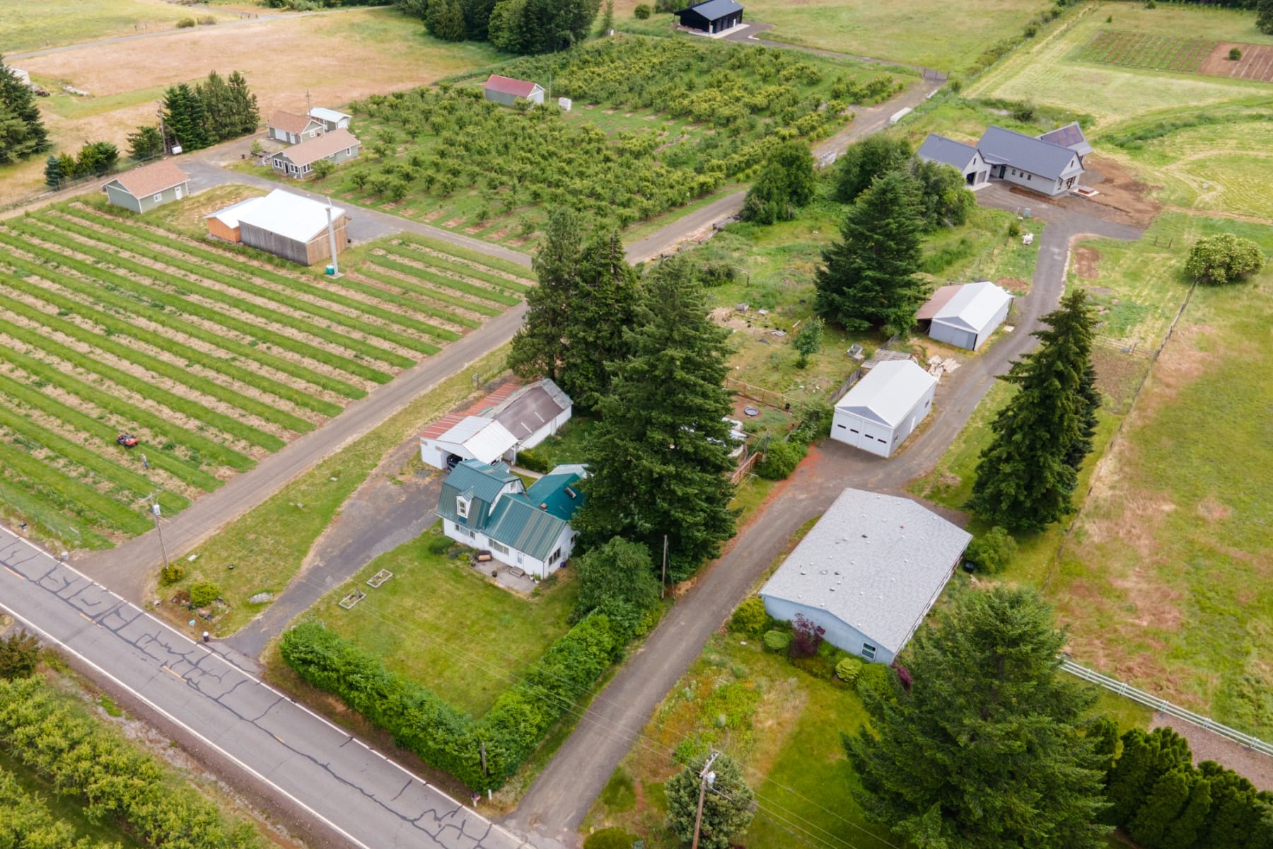  6455 TROUT CREEK RIDGE RD Mt Hood Prkdl, OR 97041 - 物件實景