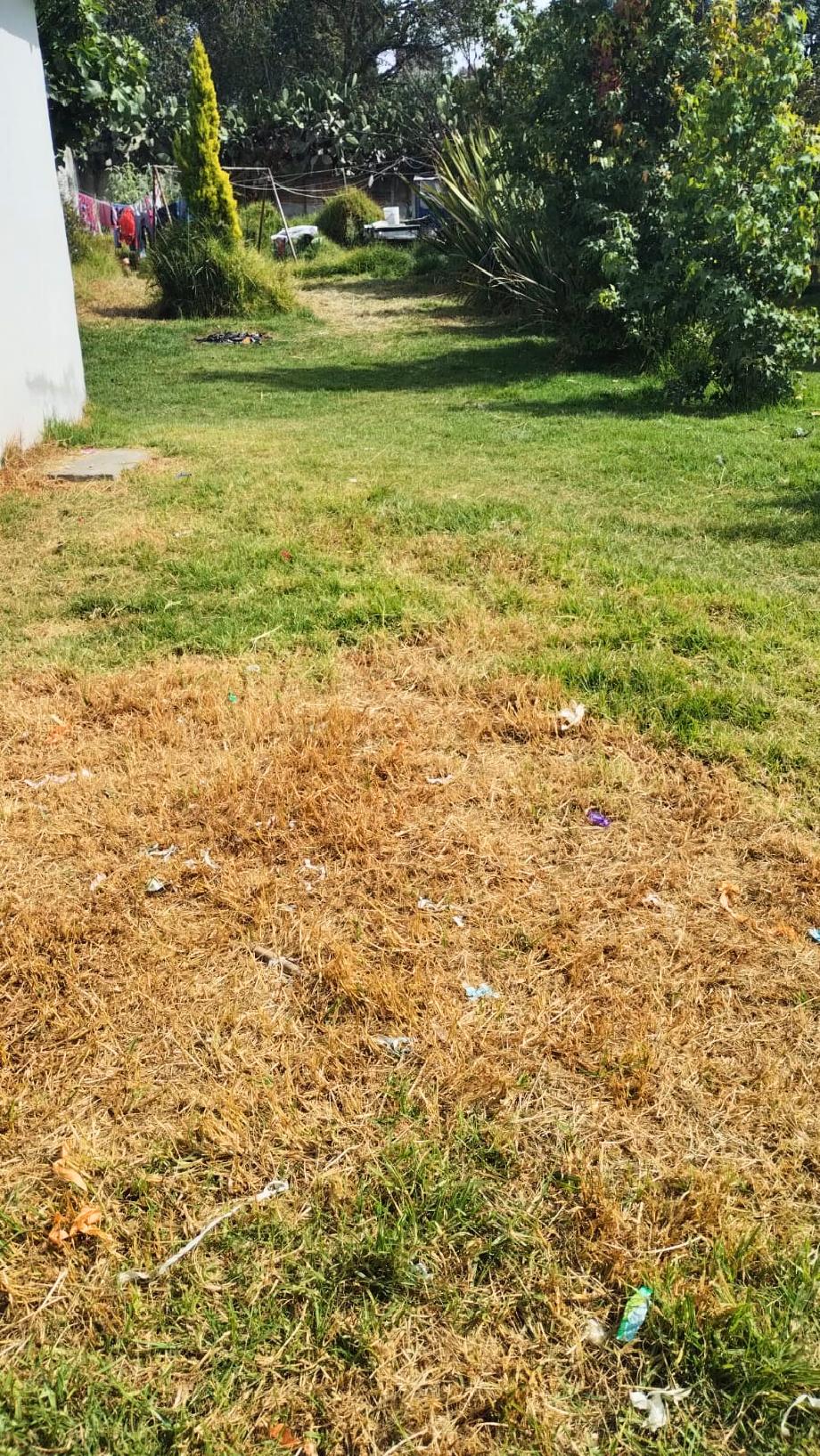 GONZALEZ Y PICHARDO, Toluca, Estado de méxico, 50120, Mexico, 4 Bedrooms Bedrooms, ,1 BathroomBathrooms,Residential,For Sale,GONZALEZ Y PICHARDO,1623909