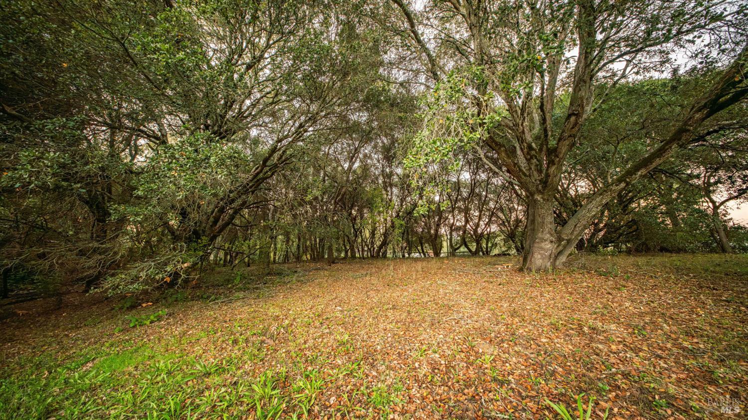 Sebastopol, California, 95472, United States, 3 Bedrooms Bedrooms, ,2 BathroomsBathrooms,Residential,For Sale,1997053