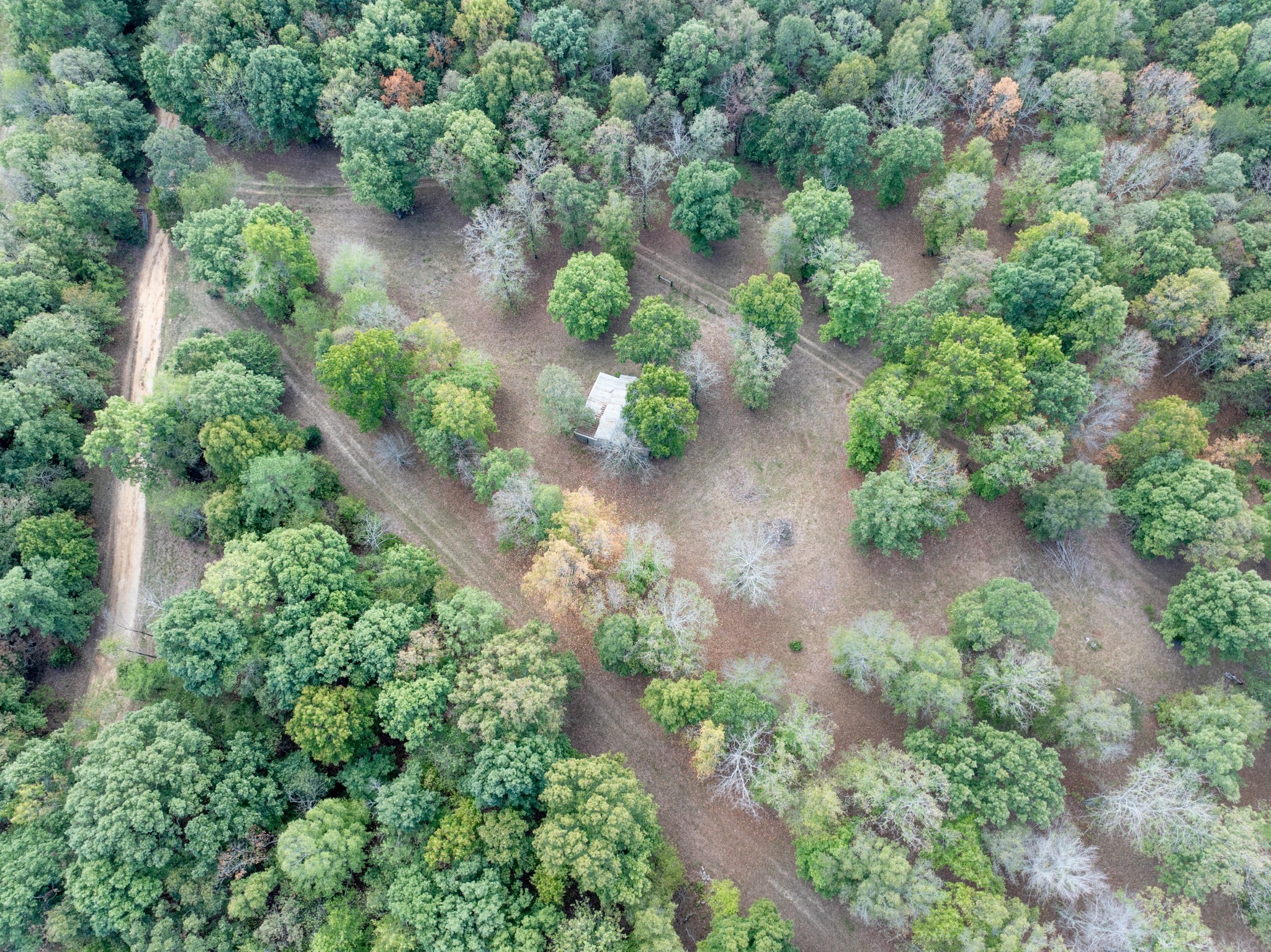 Mc Ewen, Tennessee, 37101, United States, ,Residential,For Sale,1923664