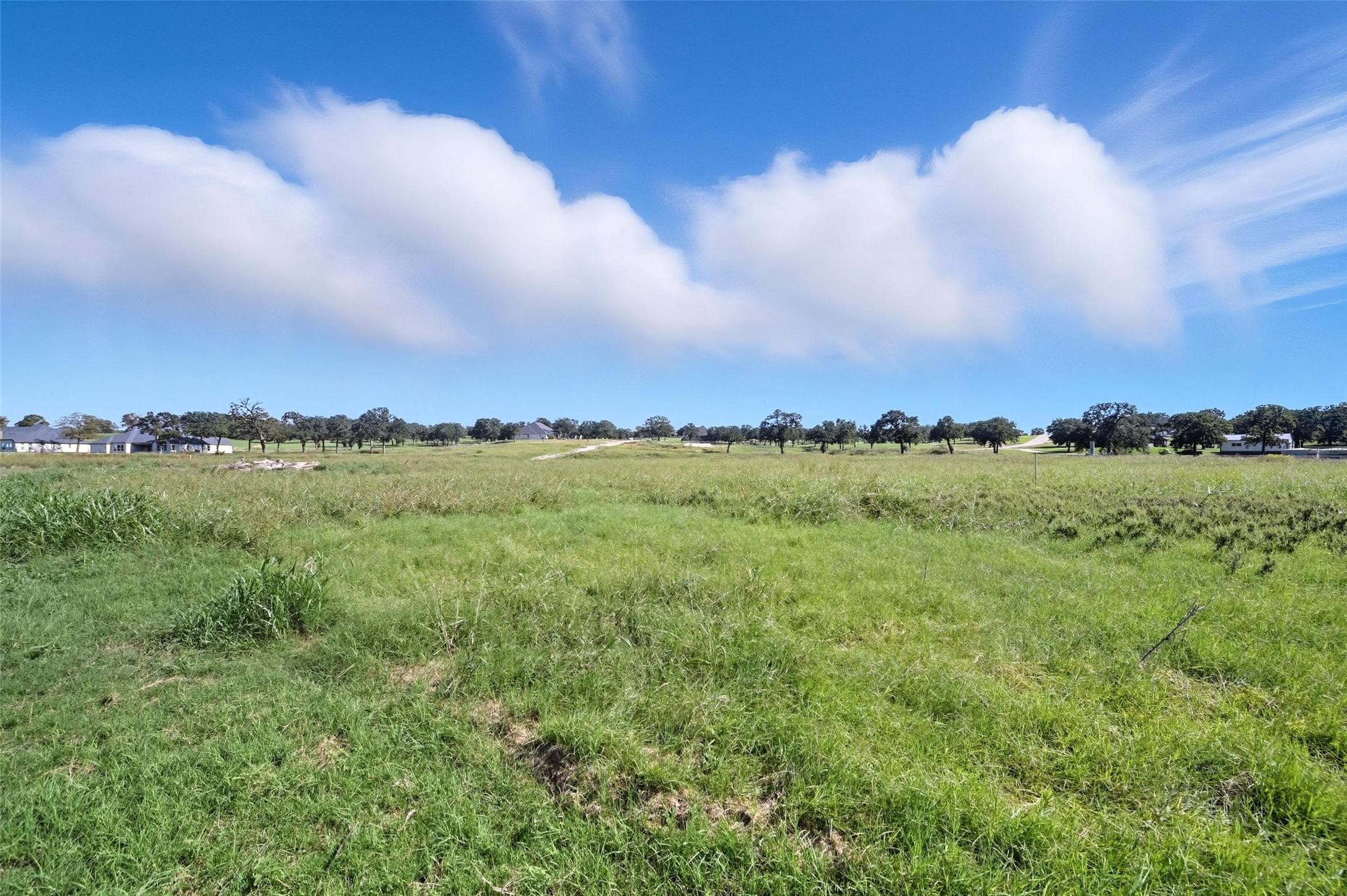 Decatur, Texas, 76234, United States, ,Land,For Sale,1958740