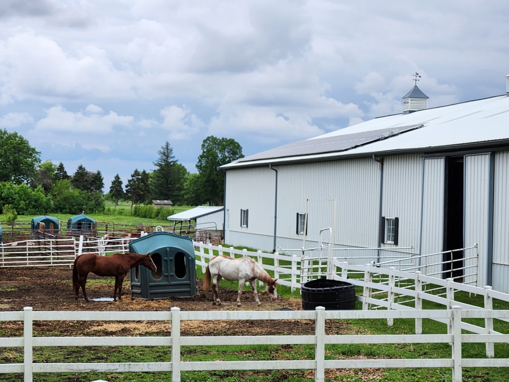 Mason City, Iowa, 50401, United States, 4 Bedrooms Bedrooms, ,1 BathroomBathrooms,Residential,For Sale,1982644
