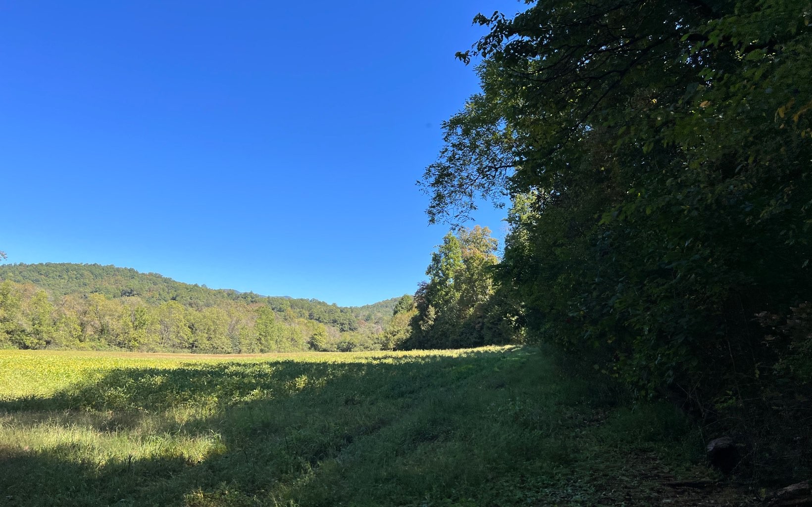 Hayesville, North Carolina, 28904, United States, ,Residential,For Sale,1943293