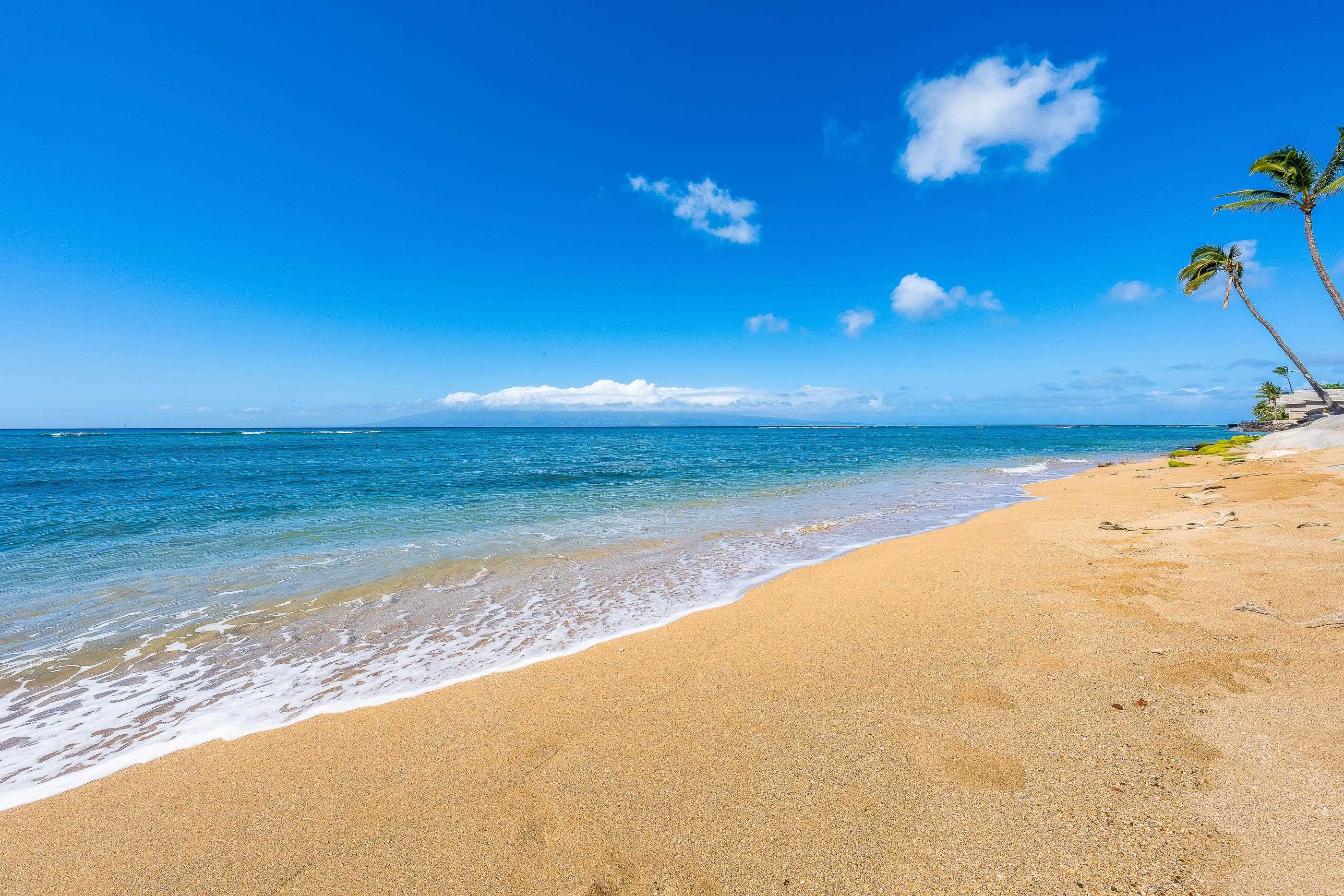 Lahaina, Hawaii, 96761, United States, 2 Bedrooms Bedrooms, ,2 BathroomsBathrooms,Residential,For Sale,1941969