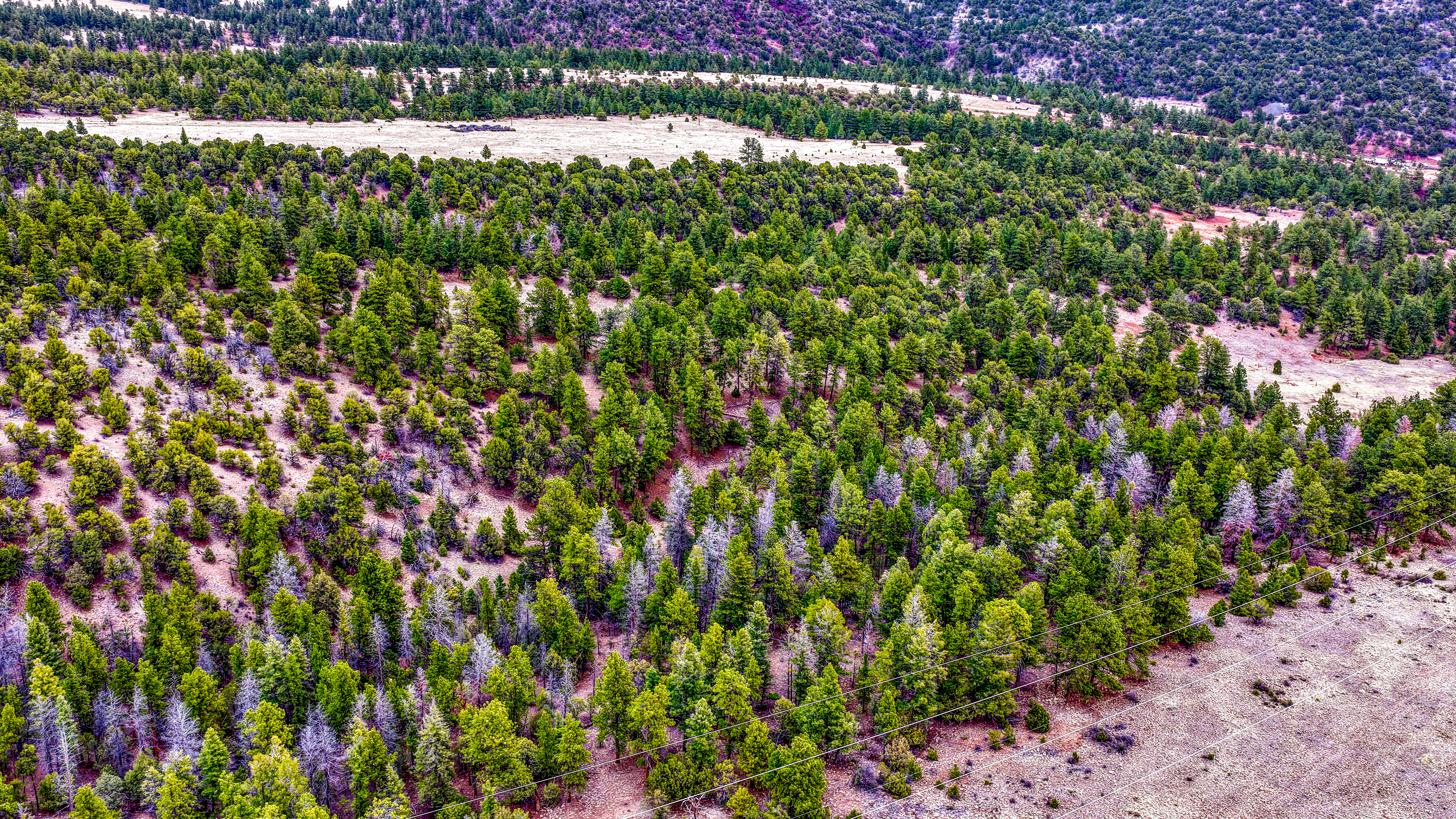  Spectacular 119 acre ranch tucked into a scenic mountain valley - 物件實景