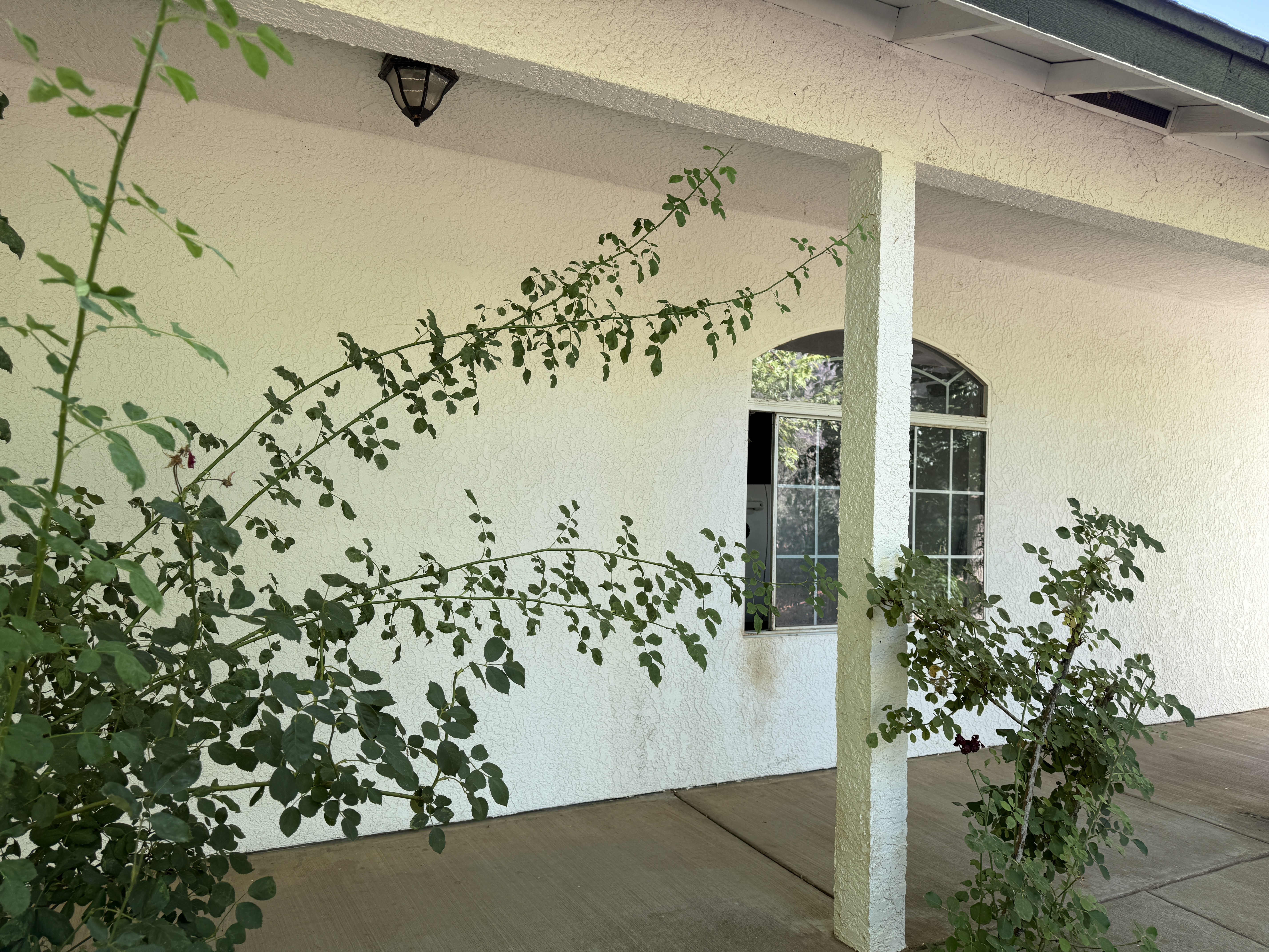 Mariposa, California, 95338, United States, 2 Bedrooms Bedrooms, ,2 BathroomsBathrooms,Residential,For Sale,1983625