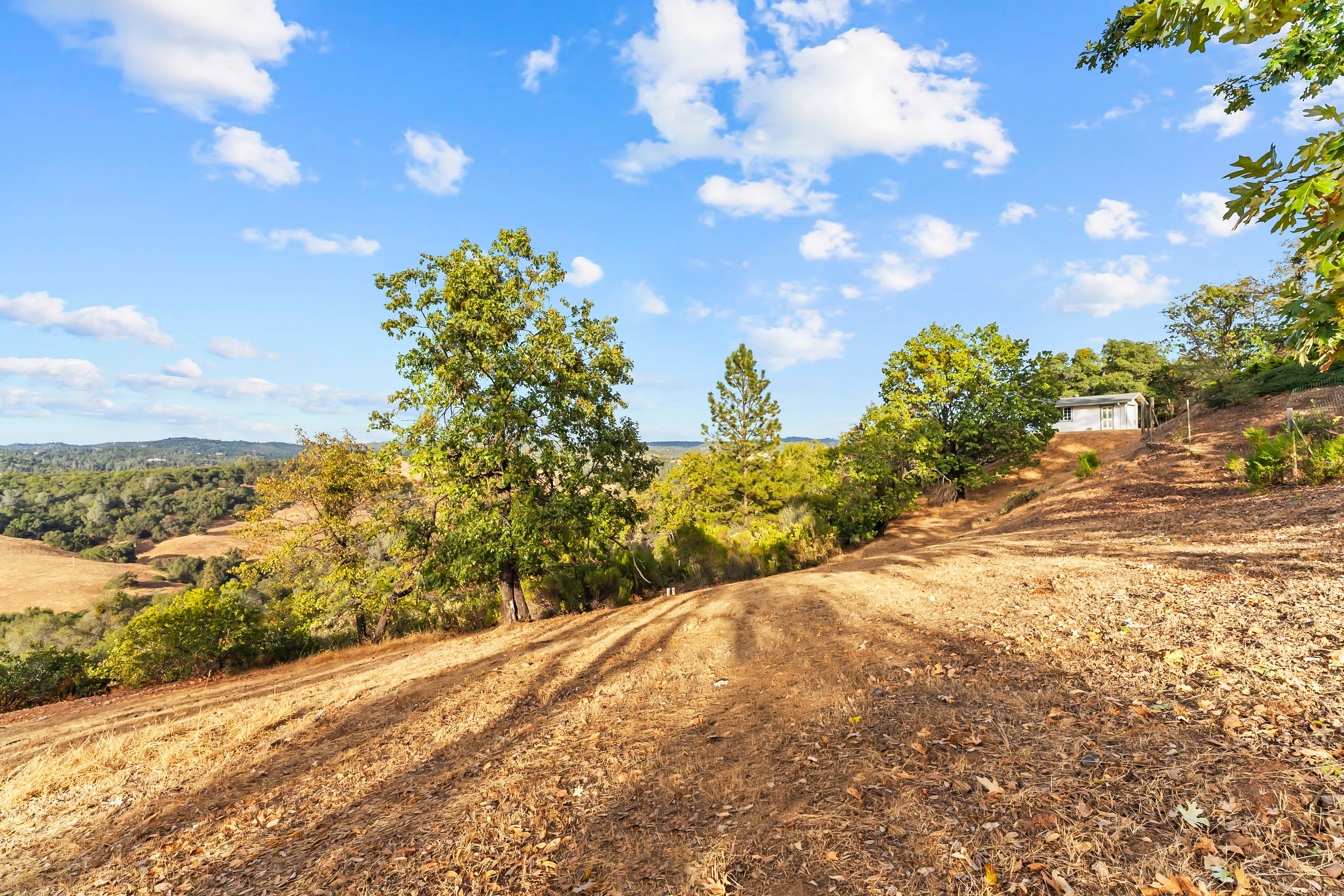  Sweeping Views. Gated Privacy. Minutes from Town - 物件實景