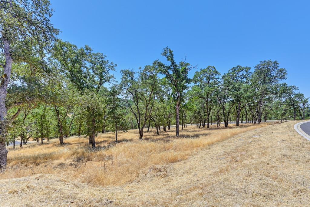 El Dorado Hills, California, 95762, United States, ,Land,For Sale,1874458