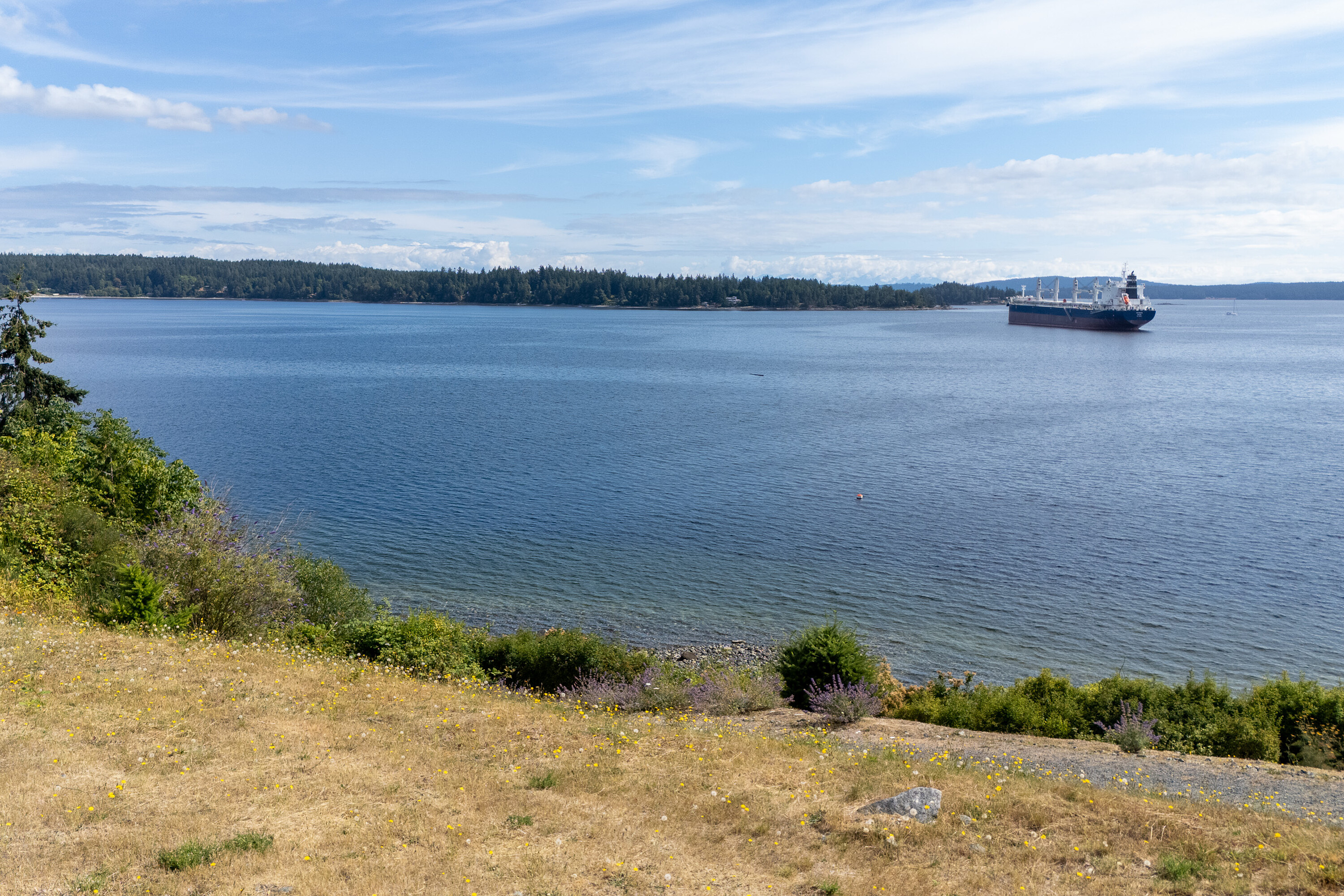  Oceanfront Lot in Saltair - 物件實景