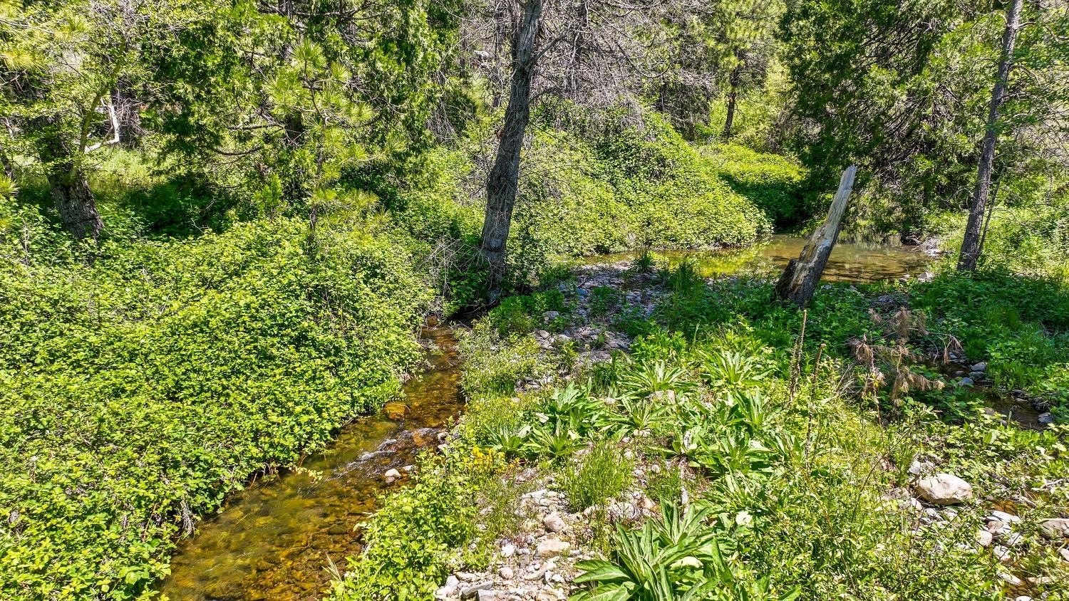 Mountain Ranch, California, 95246, United States, 1 Bedroom Bedrooms, ,1 BathroomBathrooms,Residential,For Sale,1921601