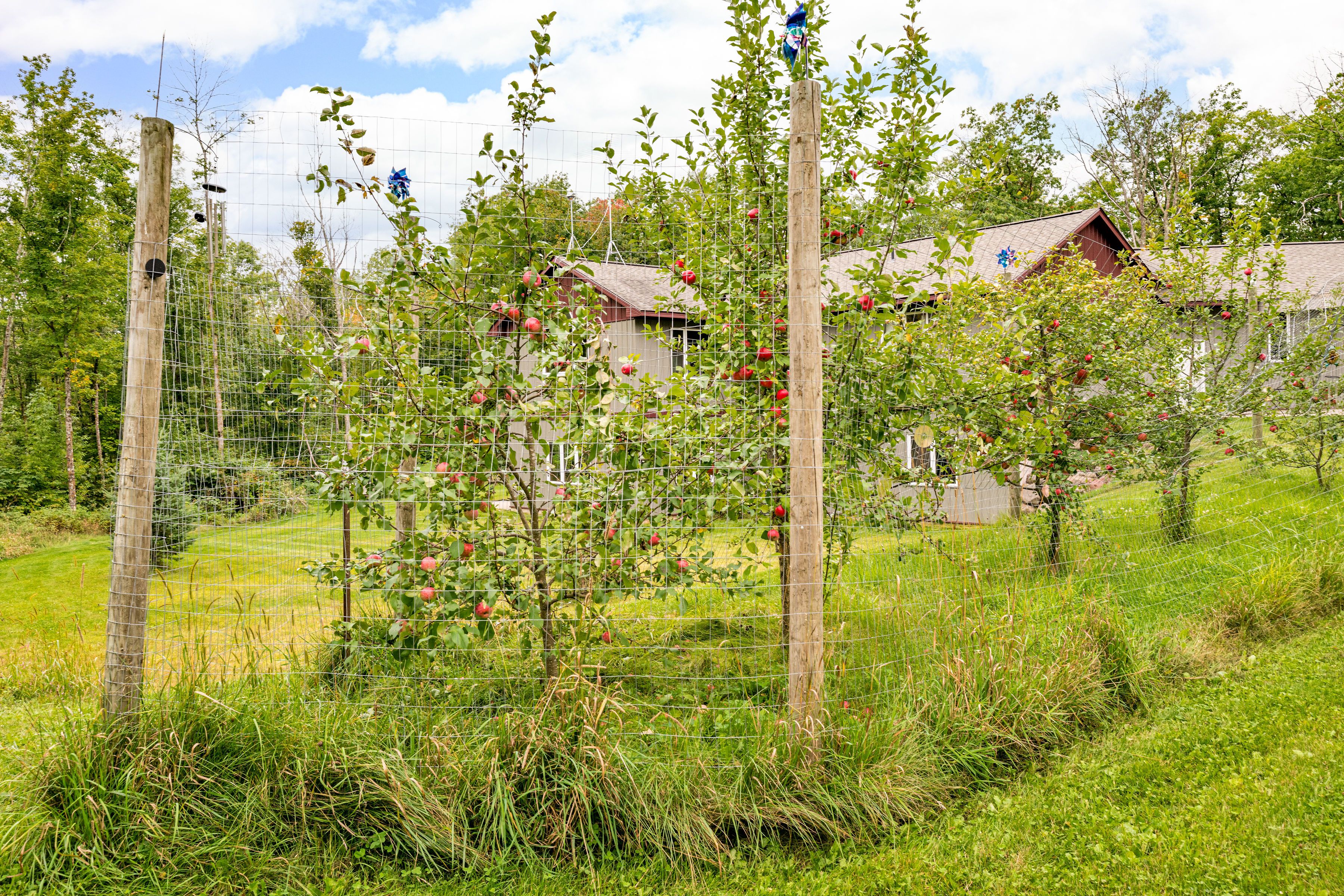  Luxury Woodland Retreat with Custom Craftsmanship and Treehouse Escape - 物件實景