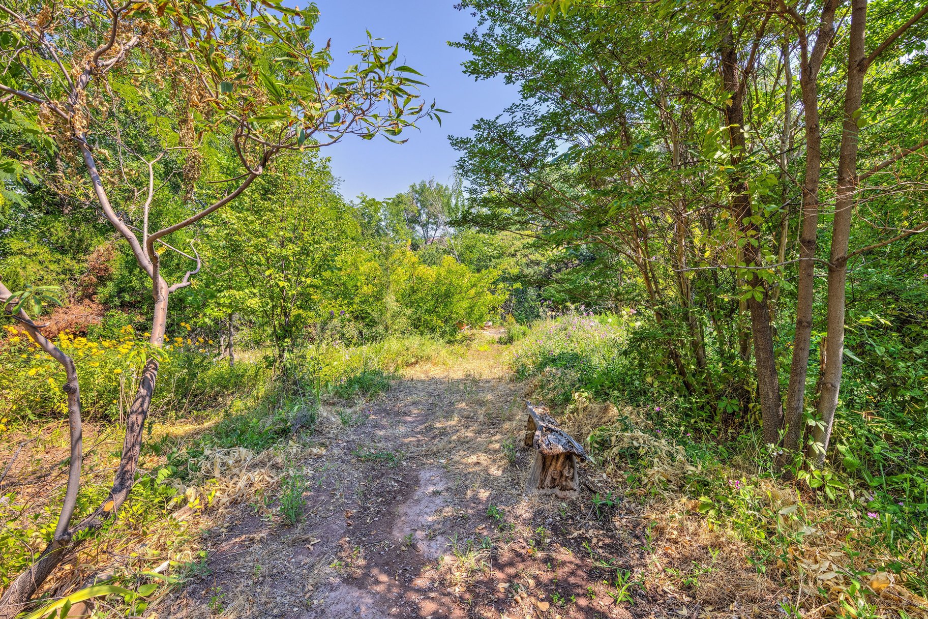  Great Location, Private Backyard & Plenty of Potential - 物件實景