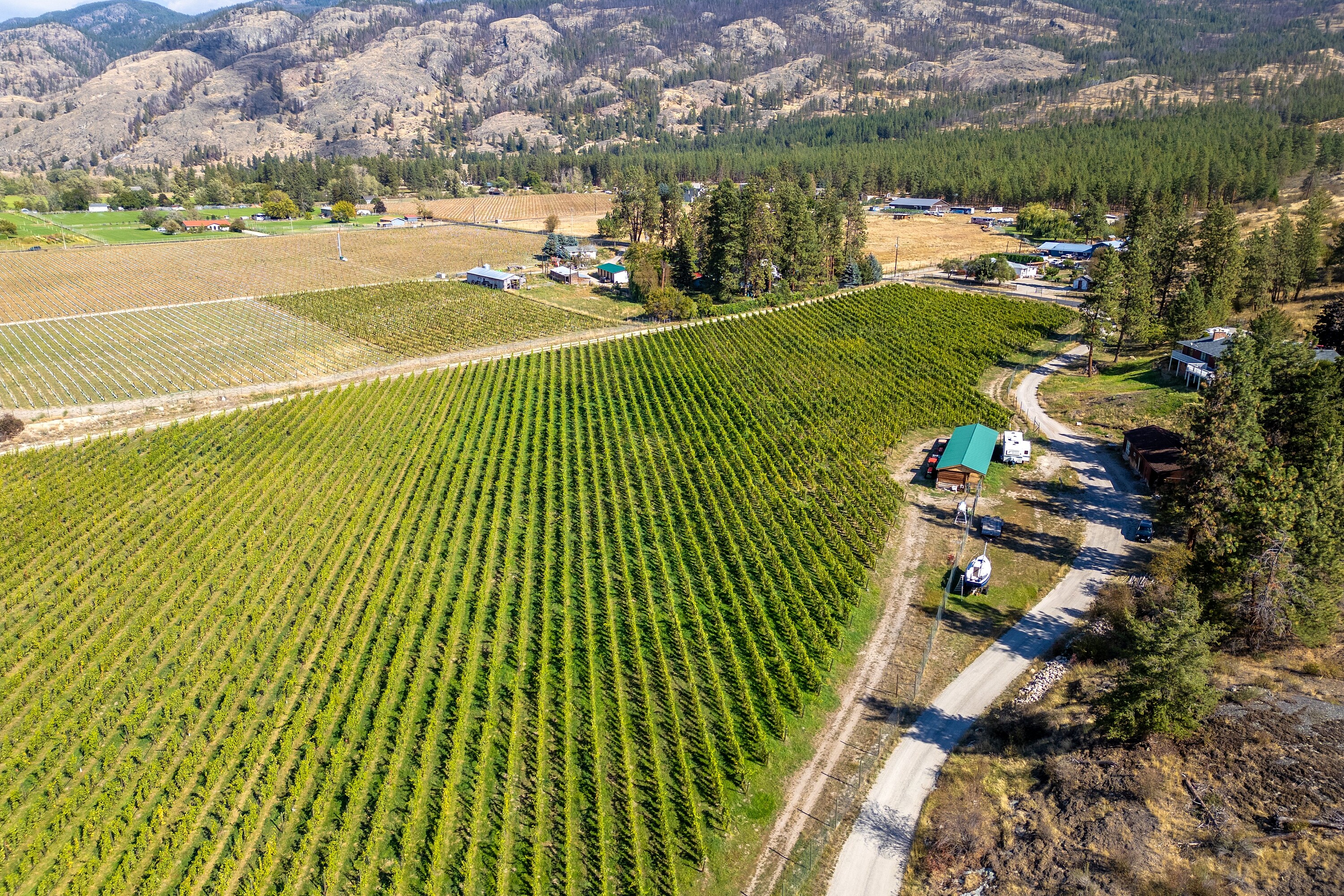  Vineyard in Okanagan Falls - 物件實景