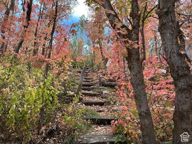 Kamas, Utah, 84036, United States, ,Residential,For Sale,1976580