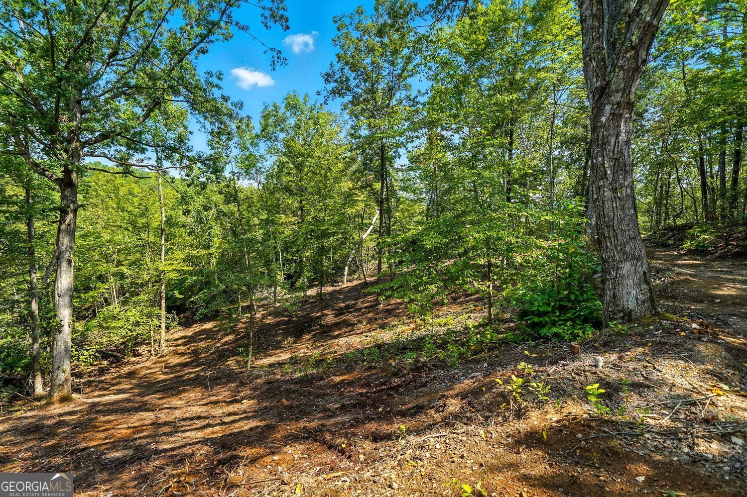Waleska, Georgia, 30183, United States, ,Land,For Sale,1929808
