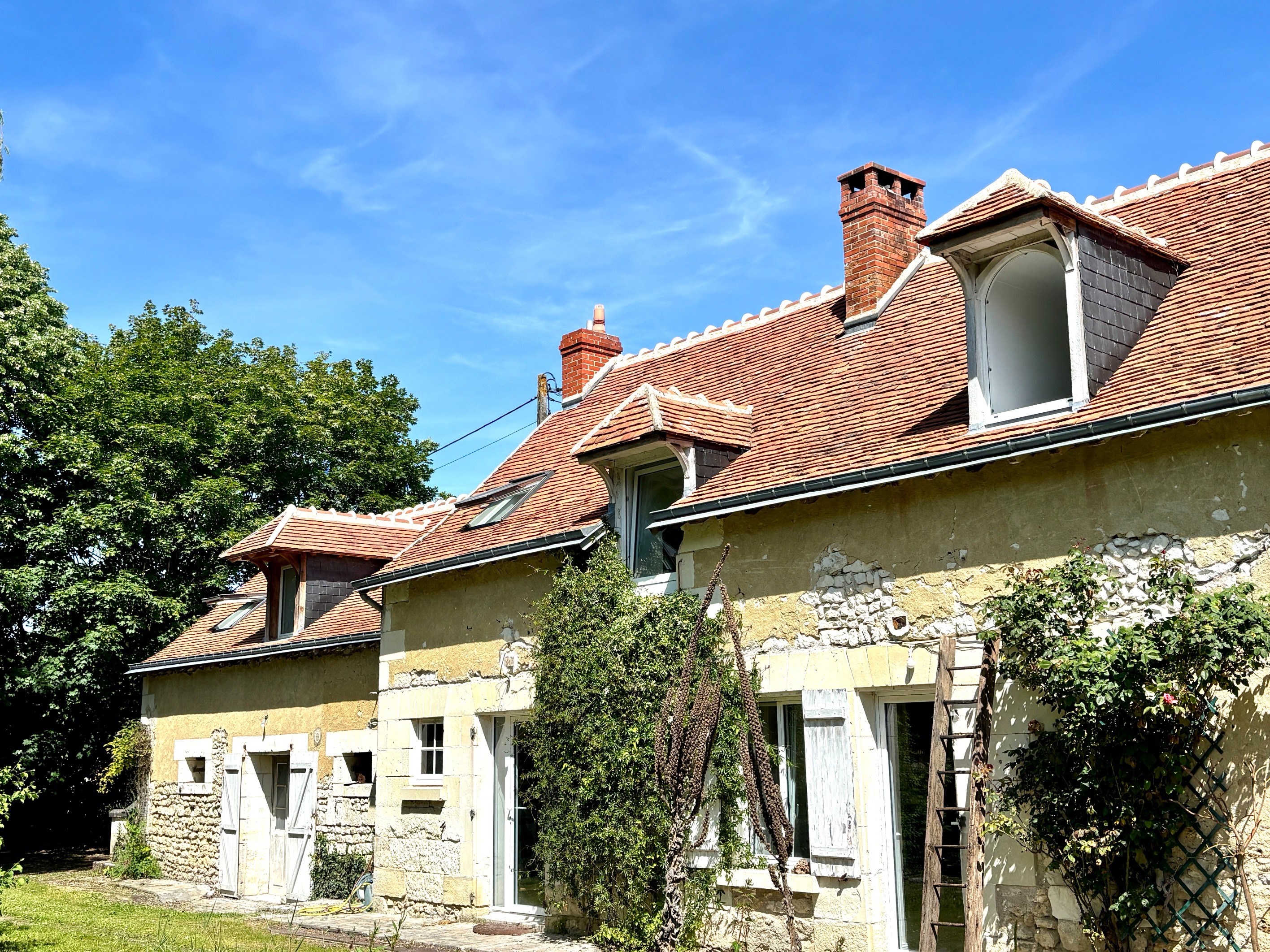  Maison - 物件實景