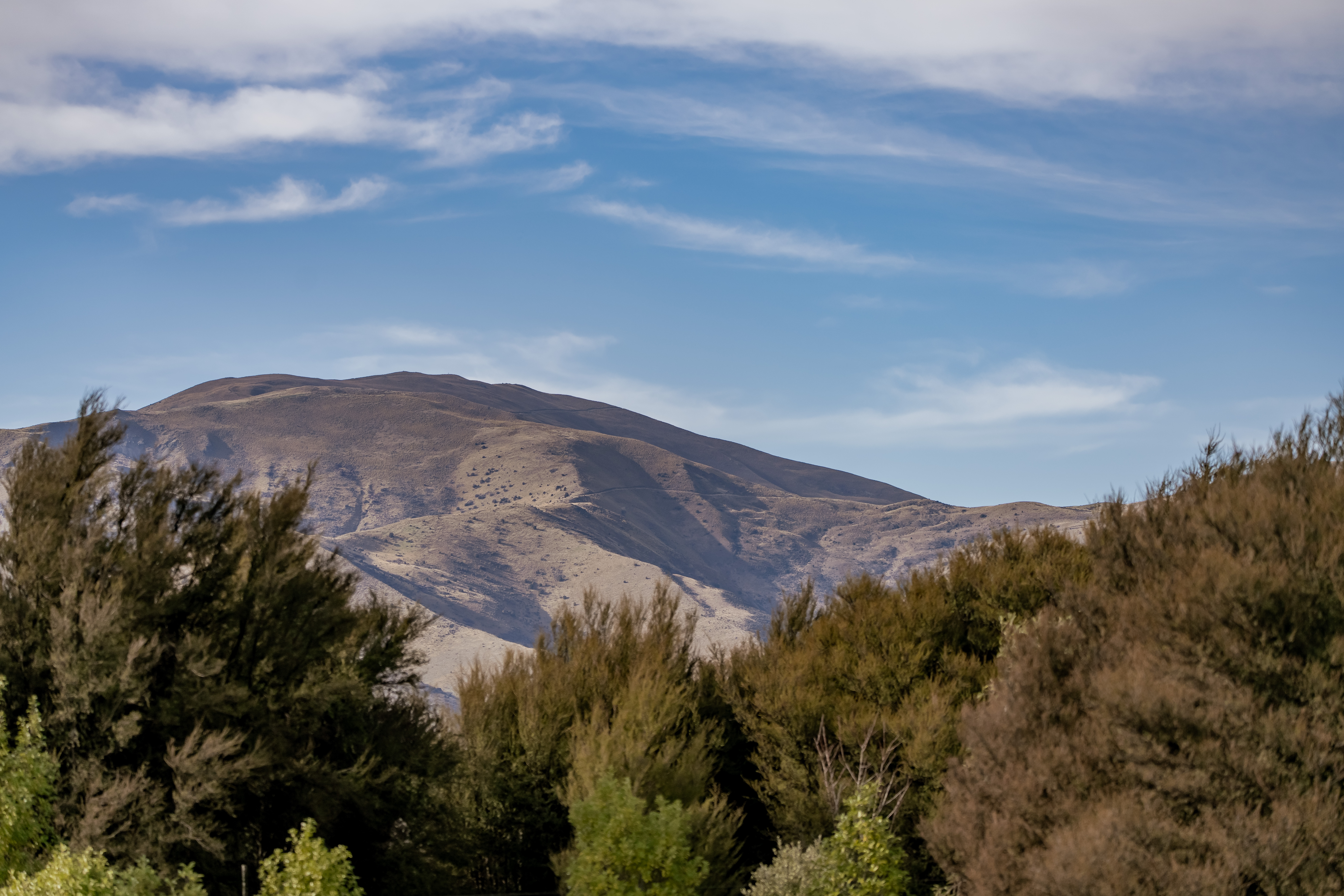  Paradise Found - 物件實景