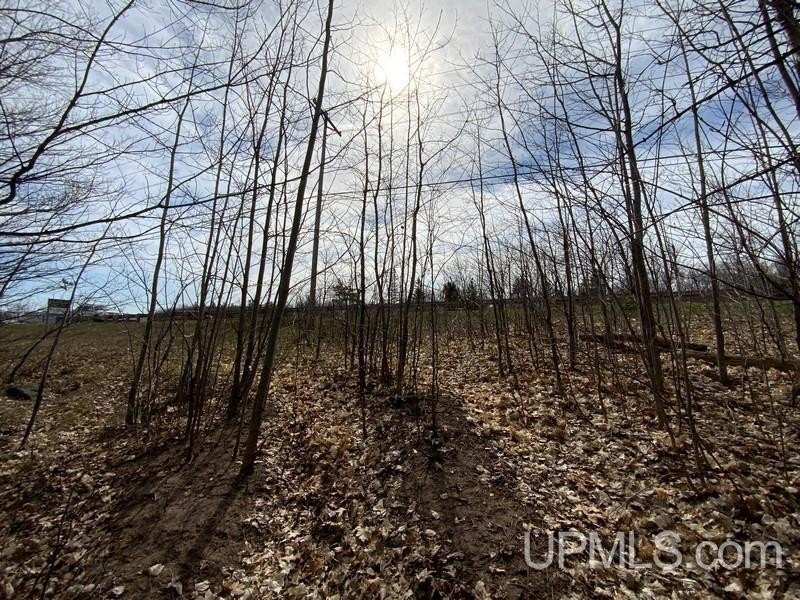 TBD W US 41, Marquette, Michigan, 49855, United States, ,Residential,For Sale,TBD W US 41,1601608