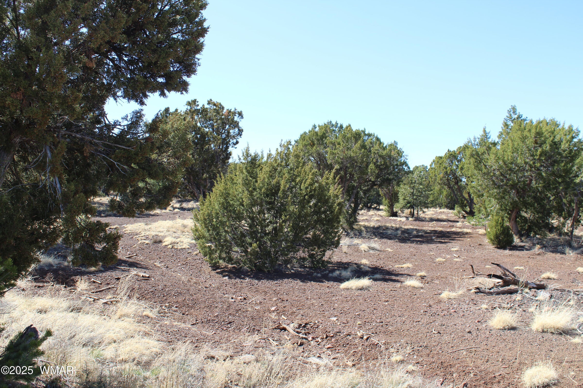 Concho, Arizona, 85924, United States, 4 Bedrooms Bedrooms, ,Residential,For Sale,2005351