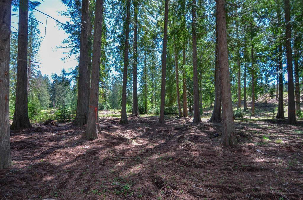 Sagle, Idaho, 83860, United States, ,Land,For Sale,1974286