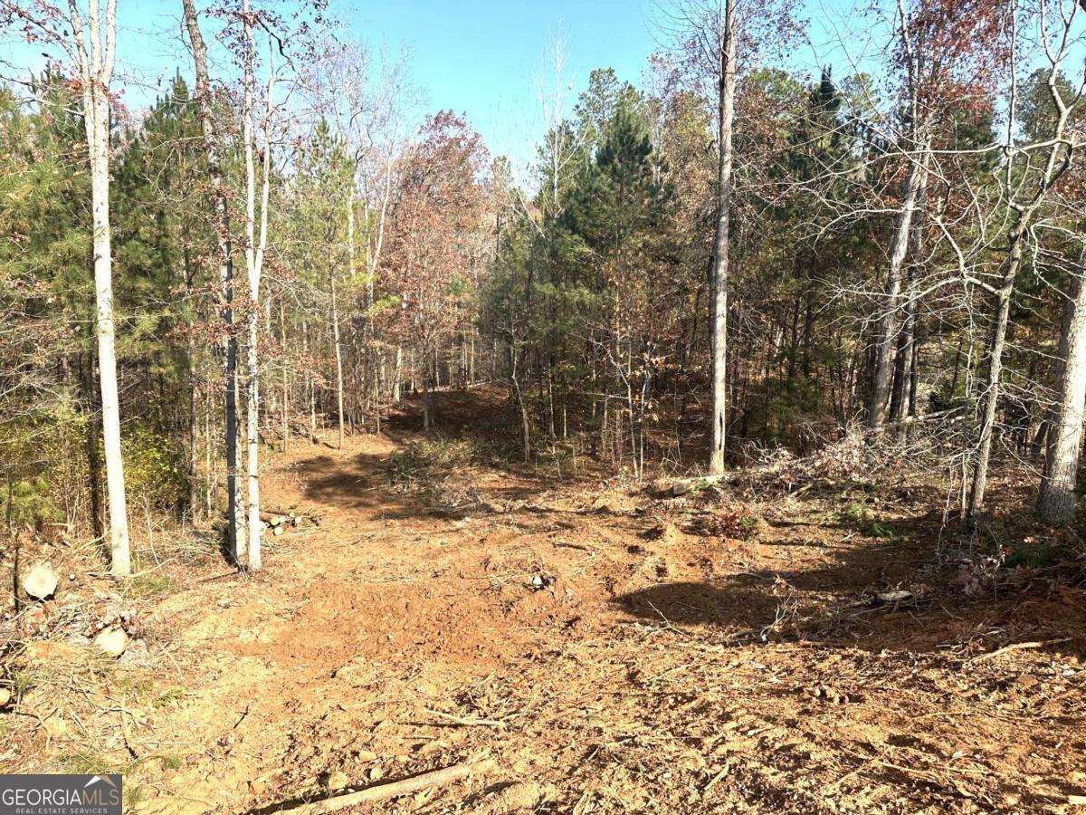 Bishop, Georgia, 30621, United States, 4 Bedrooms Bedrooms, ,4 BathroomsBathrooms,Residential,For Sale,2001856